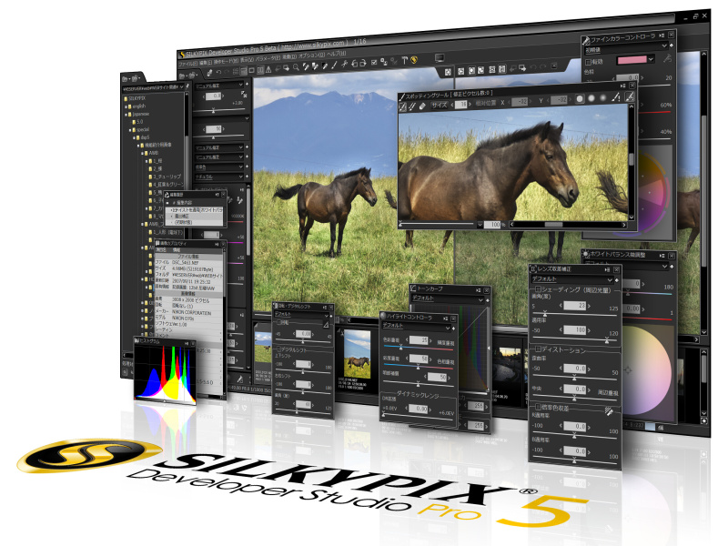 <b>SILKYPIX Developer Studio Pro 5</b>
