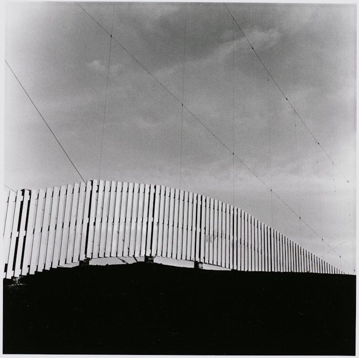 <b>シリーズ「午後」より　(c) Tamura Akihide</b>