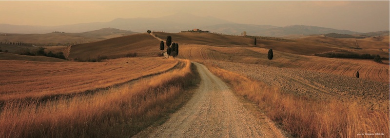 <b>ソニーNEXカタログ　(c) Tamura Akihide</b>