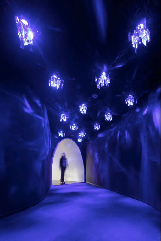 <b>(c) Atsushi Nakamichi</b>