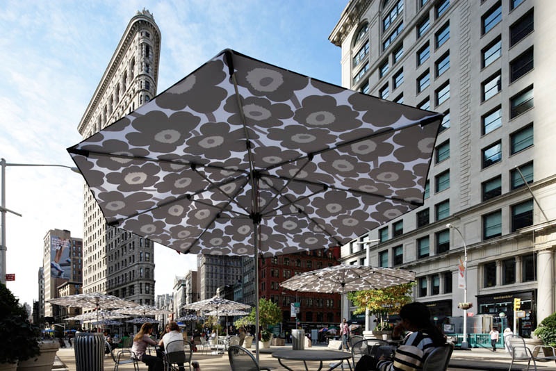 <b>(c) Atsushi Nakamichi</b>