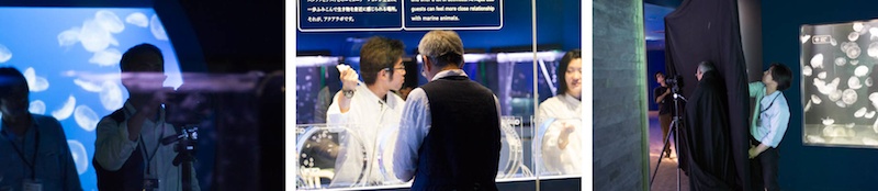 <b>オープンしたばかりの東京スカイツリーに併設されている、すみだ水族館へ6月の初旬の夜に訪れた。閉館してお客さんの退場を待ってからの撮影なので、その前にこの日撮影する部分の打合せからスタート。中に入ると大きなプールではペンギンの群れが出迎えてくれた。水族館という空間そのものや、クラゲが好きなボクは楽しいロケ現場だったが、中道さんたちはもちろん真剣にテキパキと進行していった。梅雨に入った東京地方だが、この時ばかりは涼しげなブルーの空間でゆっくりと泳ぐ魚たちやクラゲの群れに癒された。アクアラボでは研究員の実験風景を開放しているコーナーでわかりやすく見られるそうだ</b>