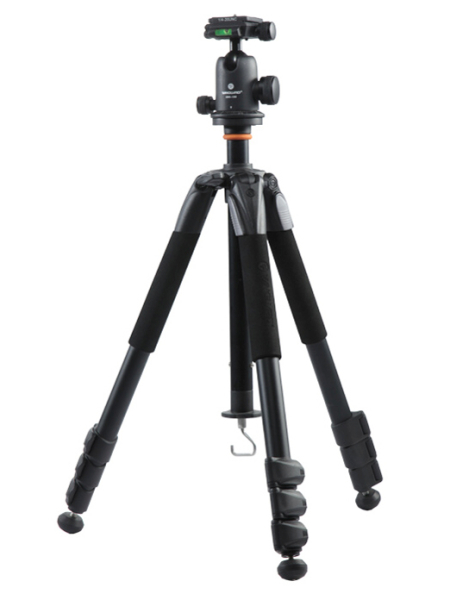 <b>Alta+<br>264AB 100</b>