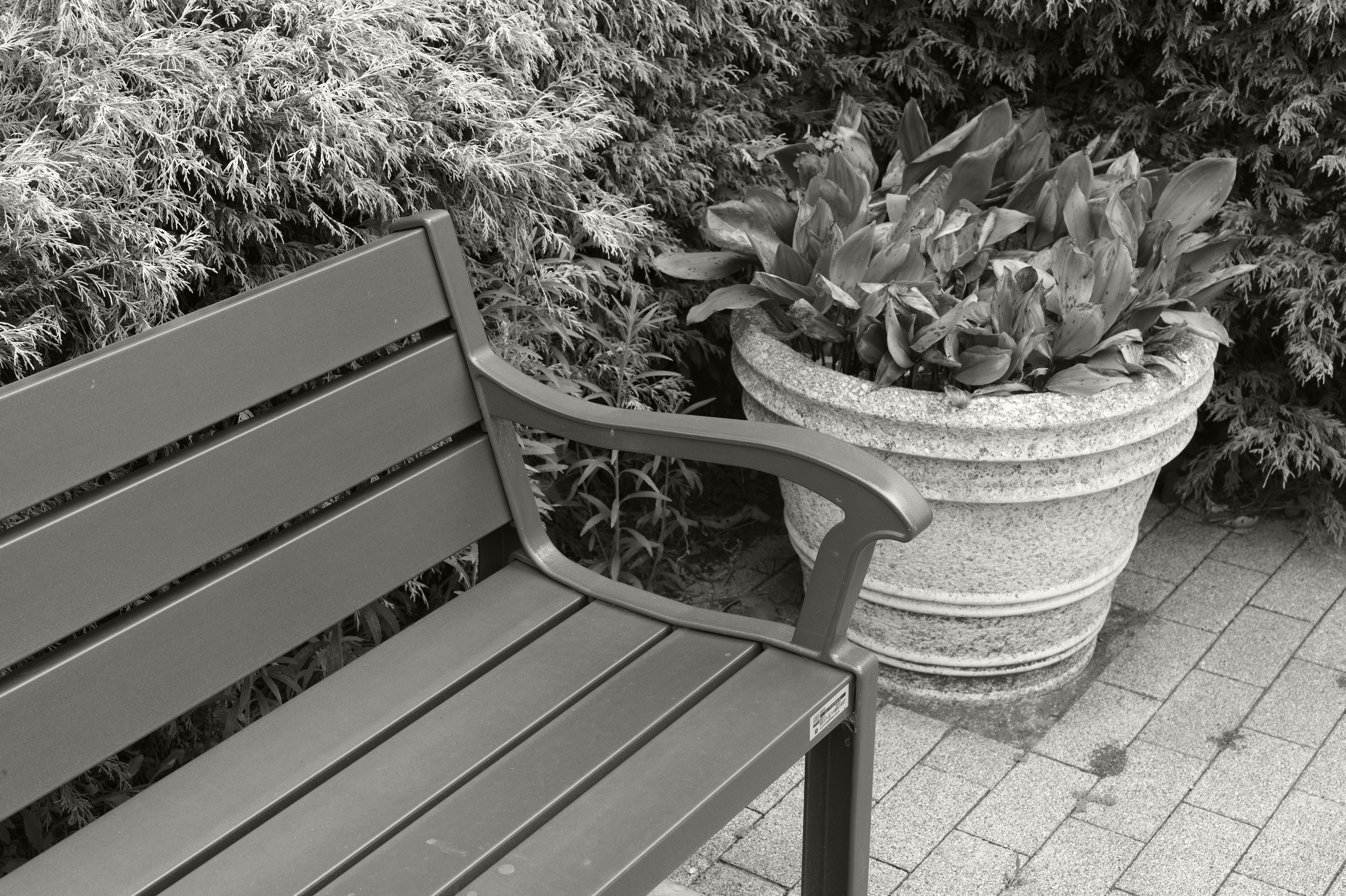 <b>セピア（弱） / M Monochrom / APO-SUMMICRON-M f2/50mm ASPH. / 約9.0MB / 5,216×3,472 / 1/45秒 / F8 / 0EV / ISO320</b>