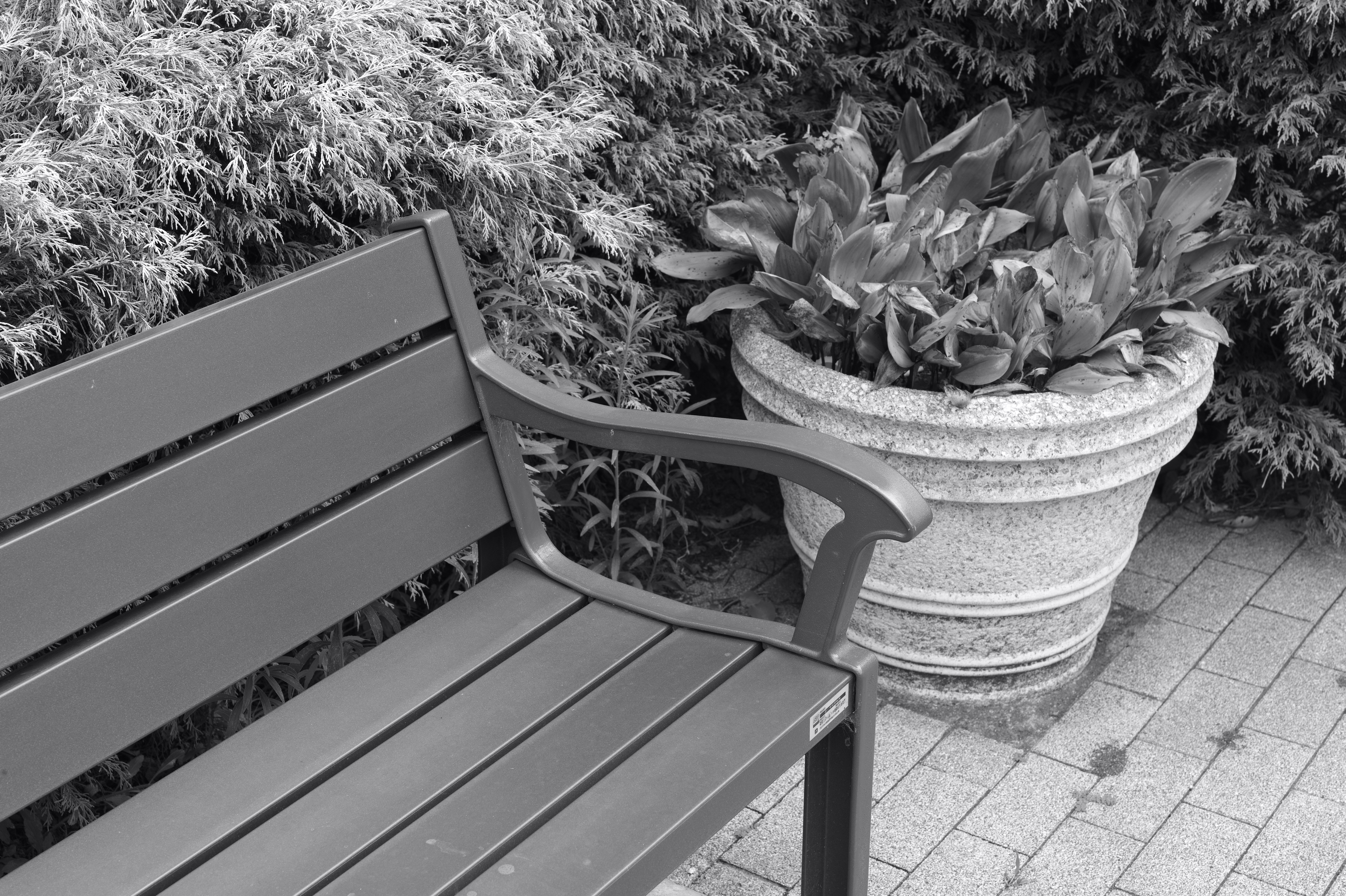 <b>暖色（弱） / M Monochrom / APO-SUMMICRON-M f2/50mm ASPH. / 約9.0MB / 5,216×3,472 / 1/45秒 / F8 / 0EV / ISO320</b>