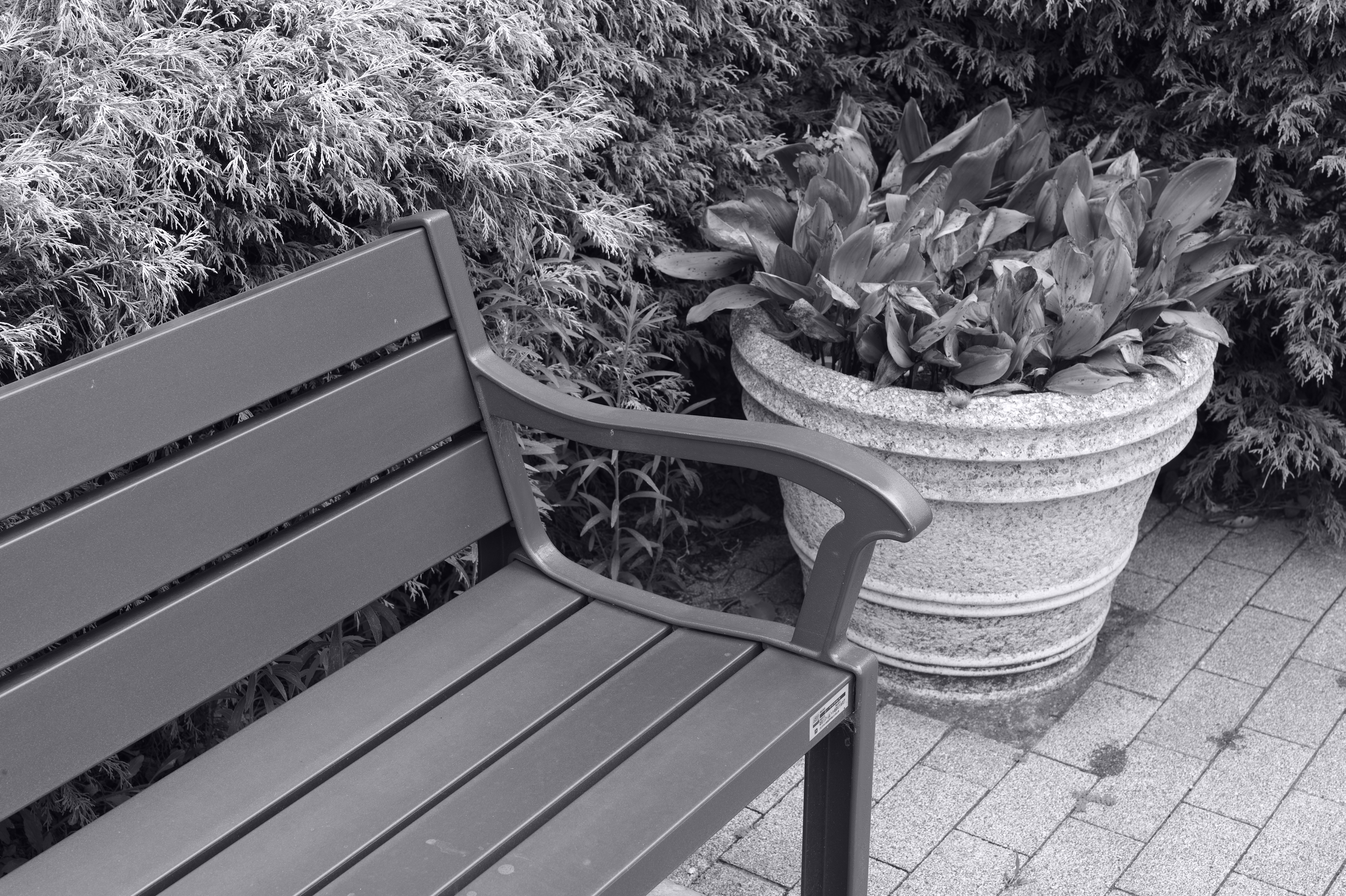 <b>暖色（強） / M Monochrom / APO-SUMMICRON-M f2/50mm ASPH. / 約9.0MB / 5,216×3,472 / 1/45秒 / F8 / 0EV / ISO320</b>