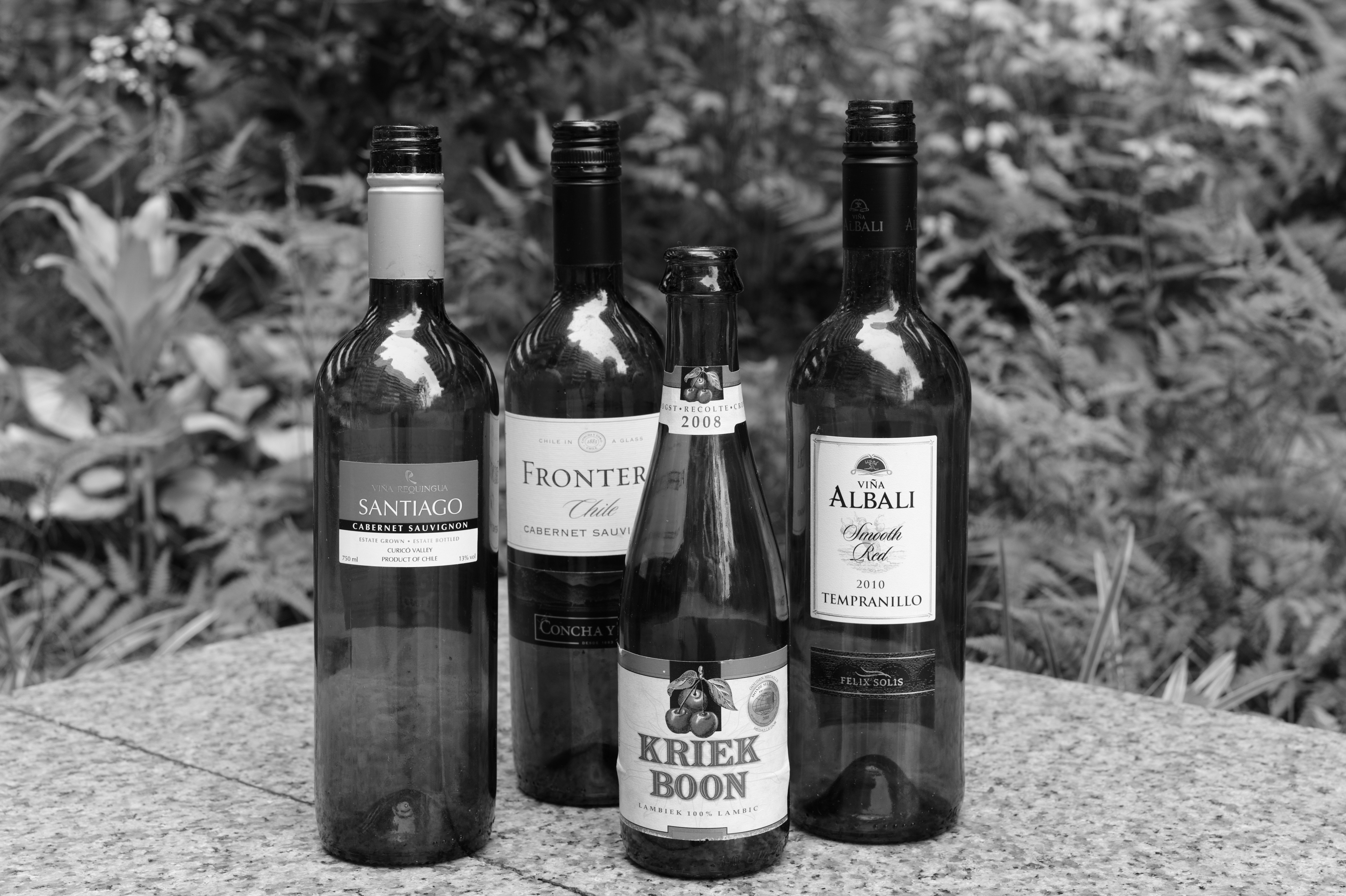 <b>ライカM9-Pの白黒モードで撮影。レンズはMモノクロームと同じアポ・ズミクロンM f2.0/50mm ASPH.。ローパスフィルターがなく、とてもシャープな写りだ。しかしMモノクロームの方がさらに鮮鋭度が高い。また背景のグリーンがMモノクロームより明るい。M9 / APO-SUMMICRON-M f2/50mm ASPH. / 約4.3MB / 5,216×3,472 / F8 / 1/8秒 / 0EV / ISO160</b>