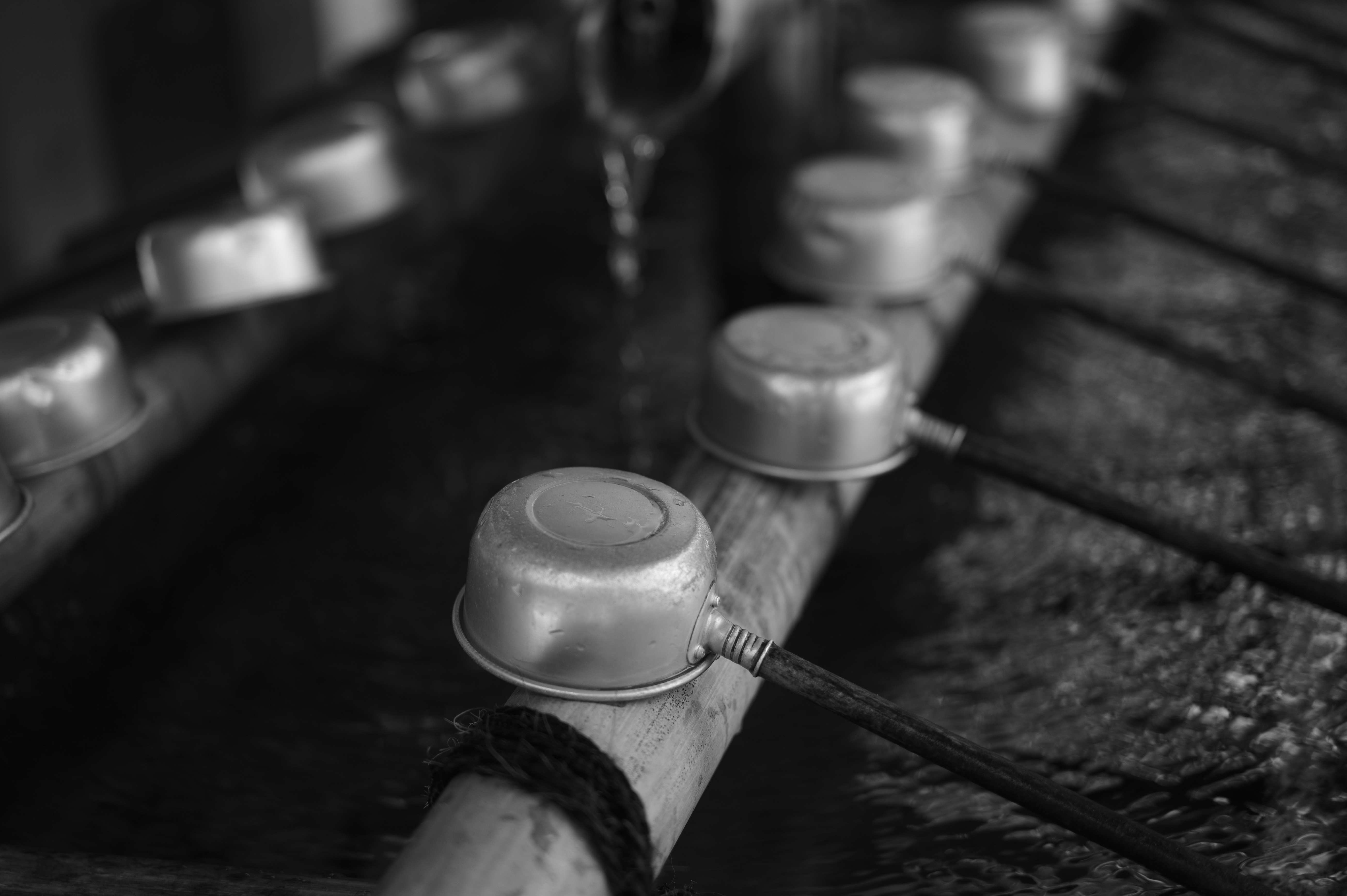 <b>M Monochrom / APO-SUMMICRON-M f2/50mm ASPH. / 約5.1MB / 5,216×3,472 / 1/500秒 / F2 / -0.7EV / ISO320</b>