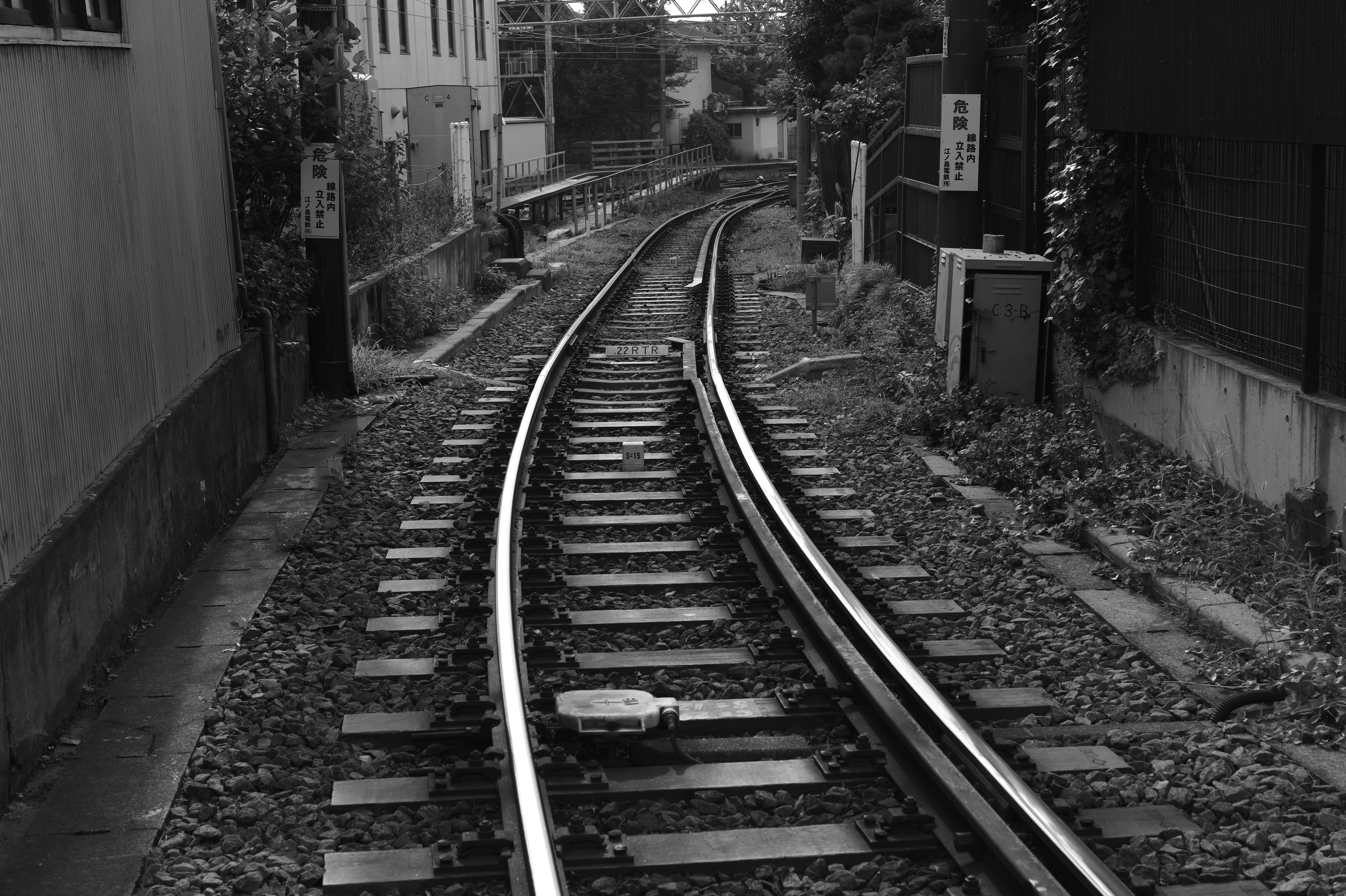 <b>M Monochrom / APO-SUMMICRON-M f2/50mm ASPH. / 約8.6MB / 5,216×3,472 / 1/360秒 / F8 / 0EV / ISO320</b>