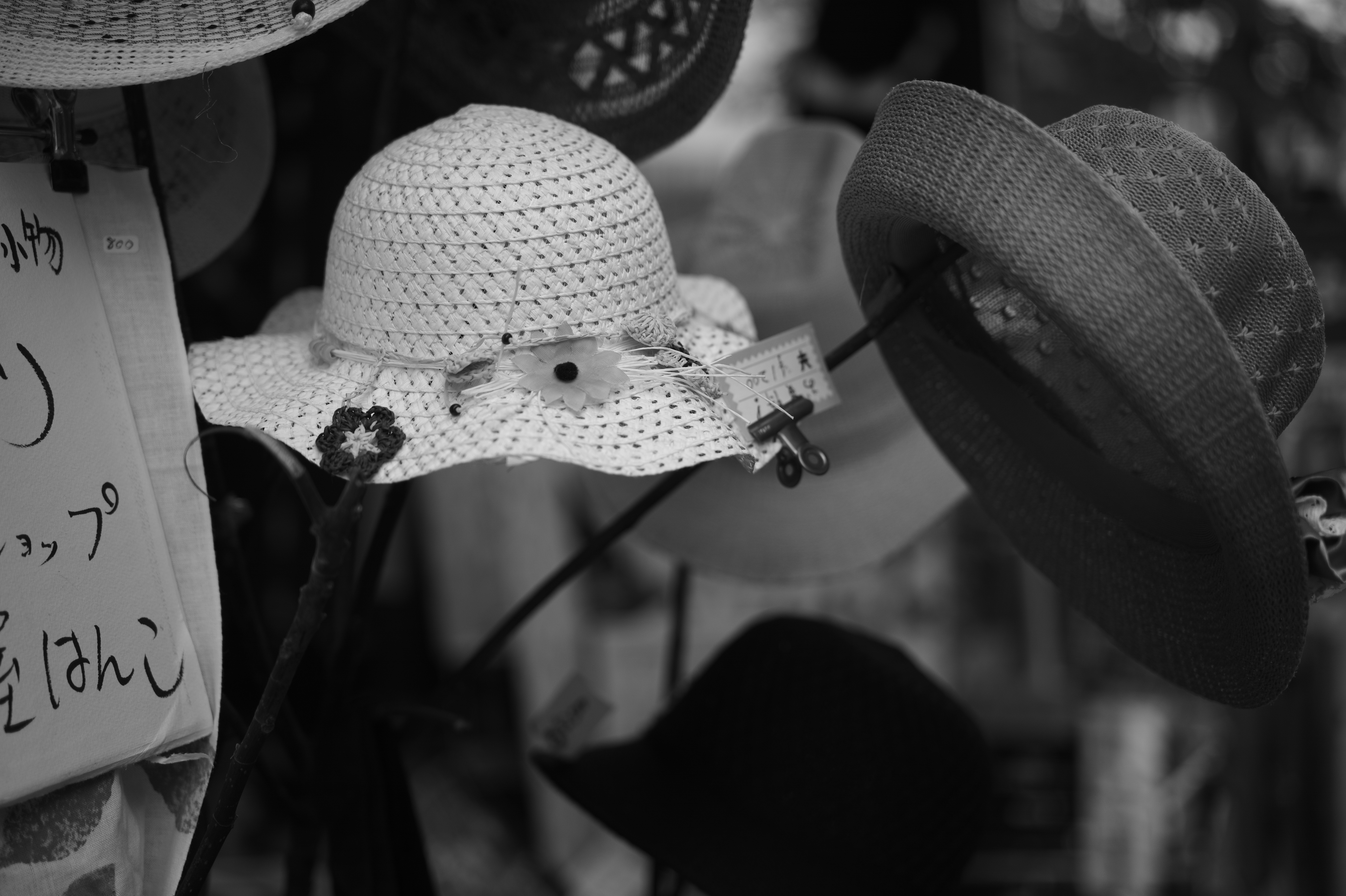 <b>M Monochrom / APO-SUMMICRON-M f2/50mm ASPH. / 約5.8MB / 5,216×3,472 / 1/1,000秒 / F2.8 / +0.3EV / ISO320</b>