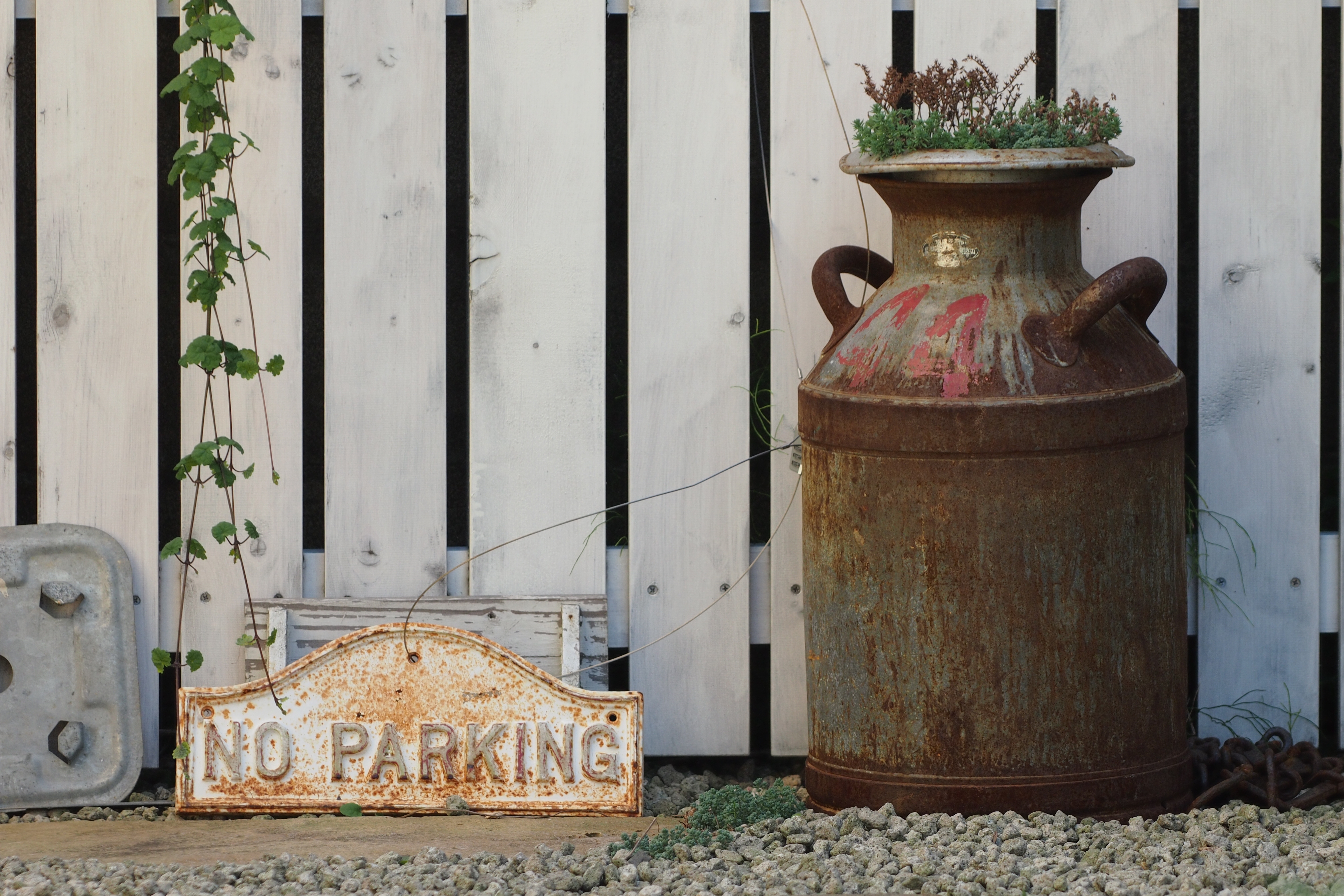 <b>ある程度、撮影距離が長ければ、拡大表示なしでもピント合わせはできなくはない。心持ち前ピンな気もするが。E-P3 / SIGMA APO Macro 150mm F2.8 EX DG HSM / 4,032×2,688 / 1/320秒 / F4 / 0.7EV / ISO200 / WB:晴天</b>