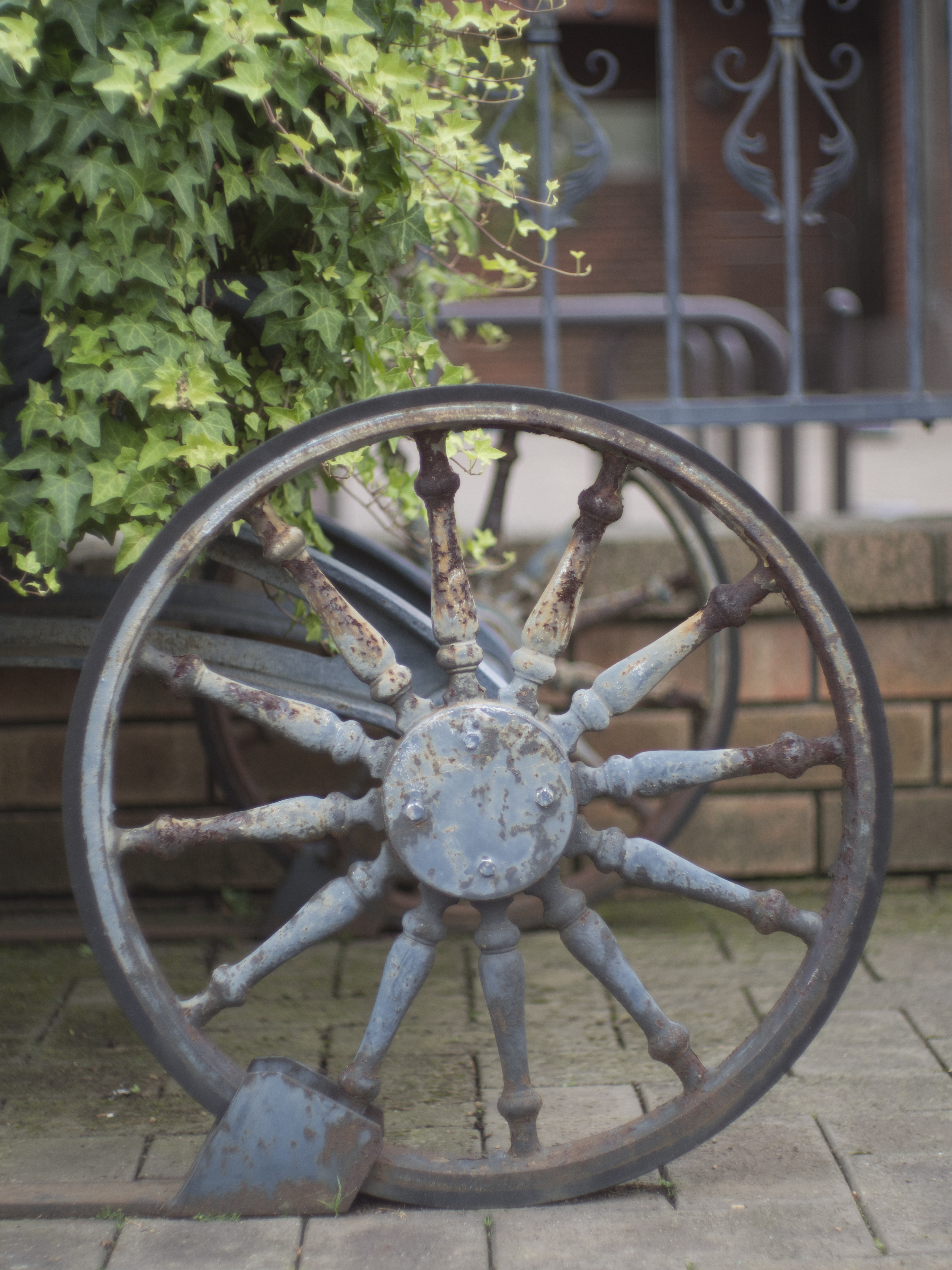 <b>E-M5 / G.Zuiko Auto-S 40mm F1.4 / 4,608×3,456 / 1/2,500秒 / F1.4 / 0EV / ISO200 / WB:オート / 40mm</b>