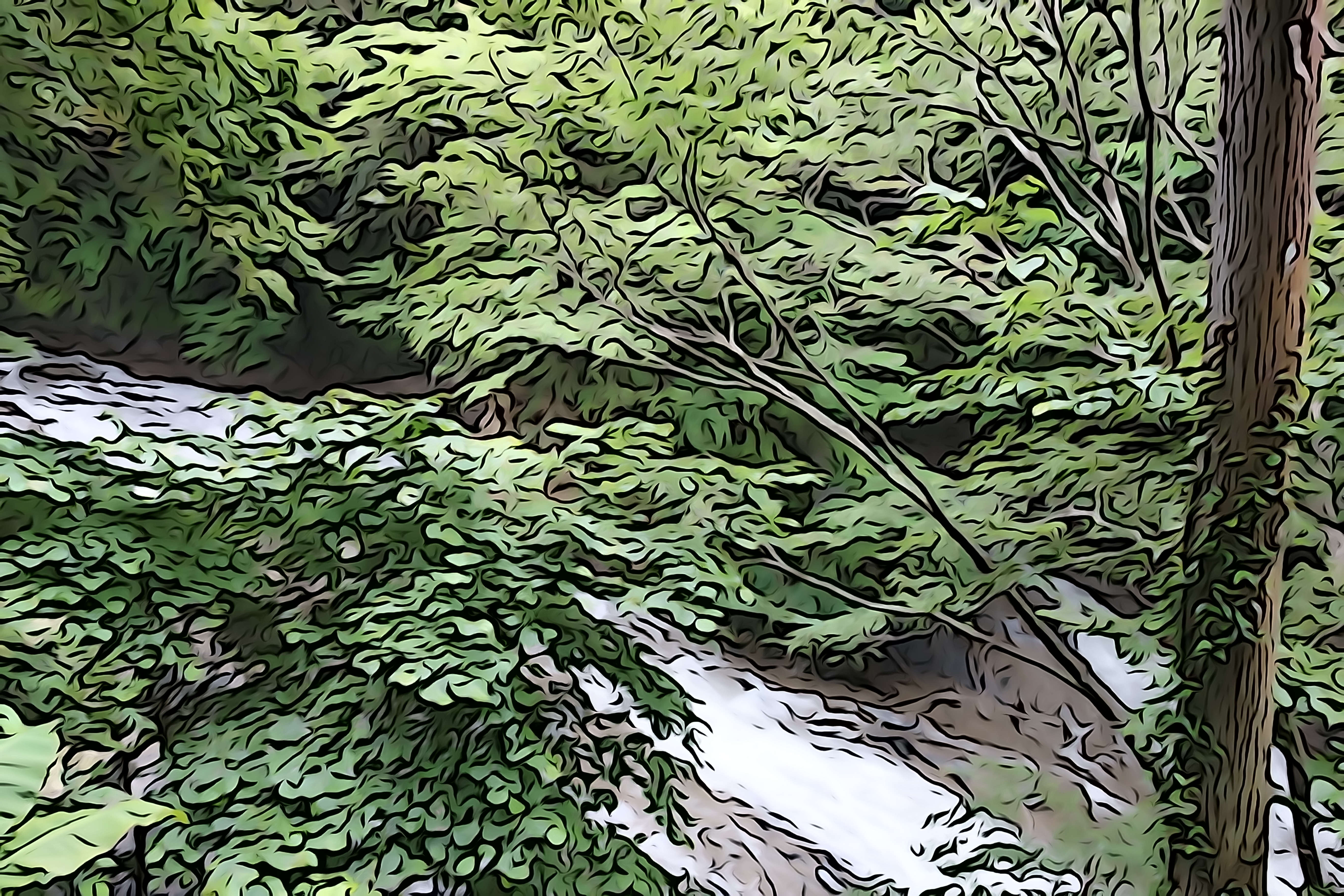 <b>ピクチャーエフェクト：イラスト調（強） / DSC-RX100 / 約6.6MB / 5,472×3,648 / 1/80秒 / F1.8 / 0.0EV / ISO125 / WB:オート / 10.4mm</b>