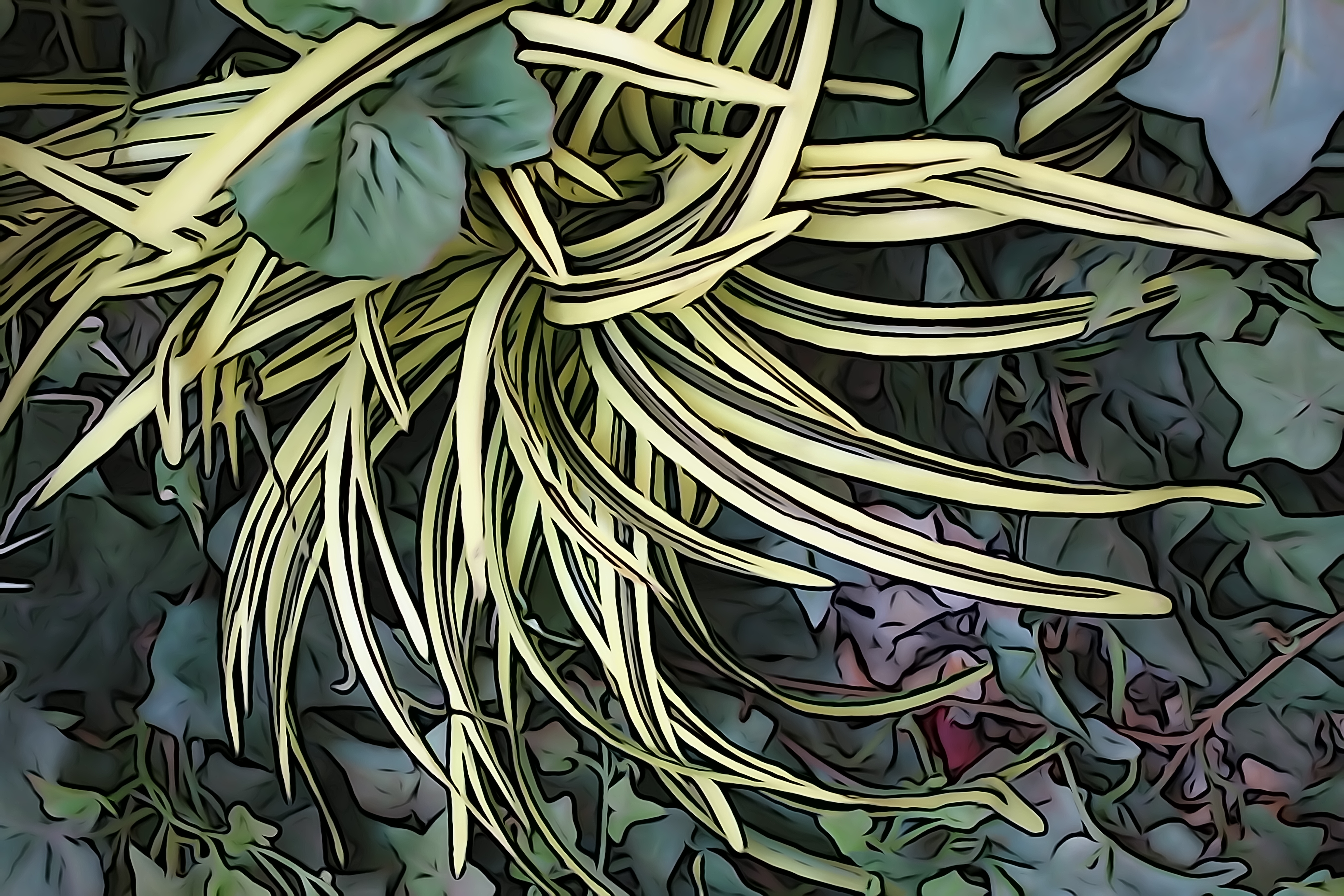 <b>ピクチャーエフェクト：イラスト調（強） / DSC-RX100 / 約5.0MB / 3,648×5,472 / 1/80秒 / F4 / 0.0EV / ISO400 / WB:オート / 24.1mm</b>