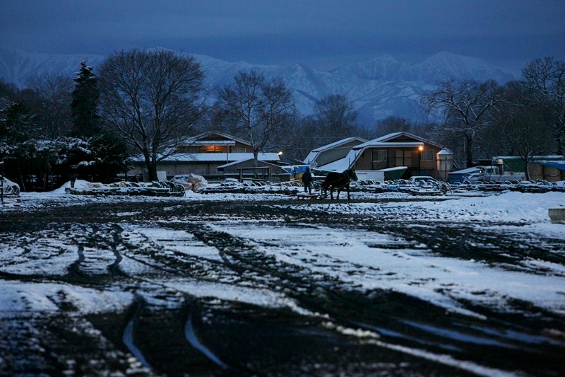 <b>ばんえい競馬　(c) 山岸伸</b>