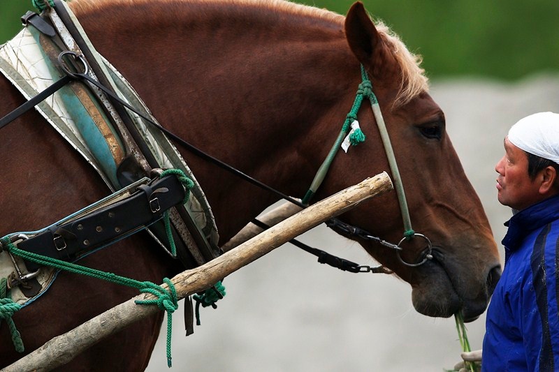 <b>ばんえい競馬　(c) 山岸伸</b>