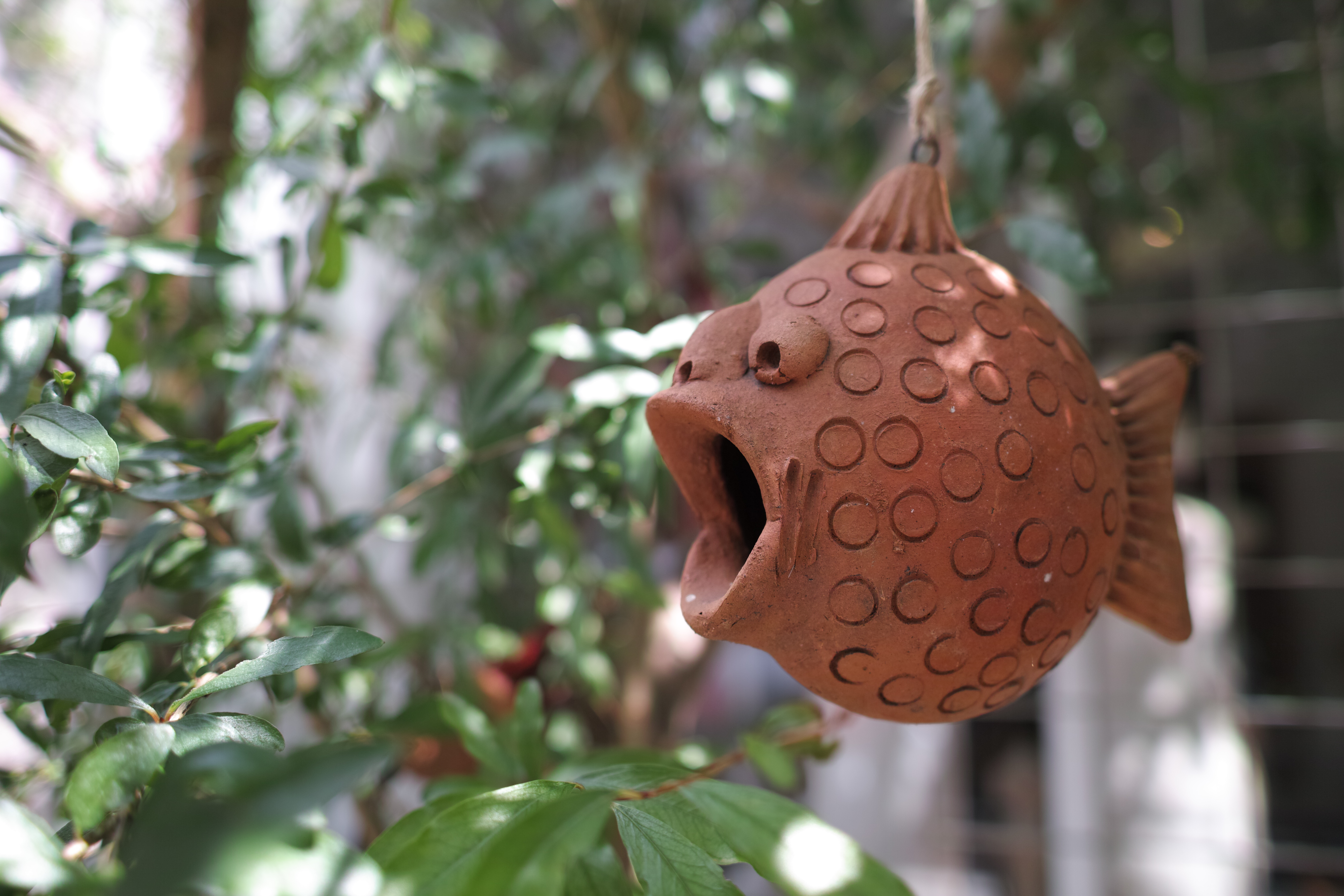 <b>DP1 Merrill / 約6.5MB / 4,704x3,136 / 1/250秒 / F2.8 / 0.0EV / ISO100 / WB:オート</b>