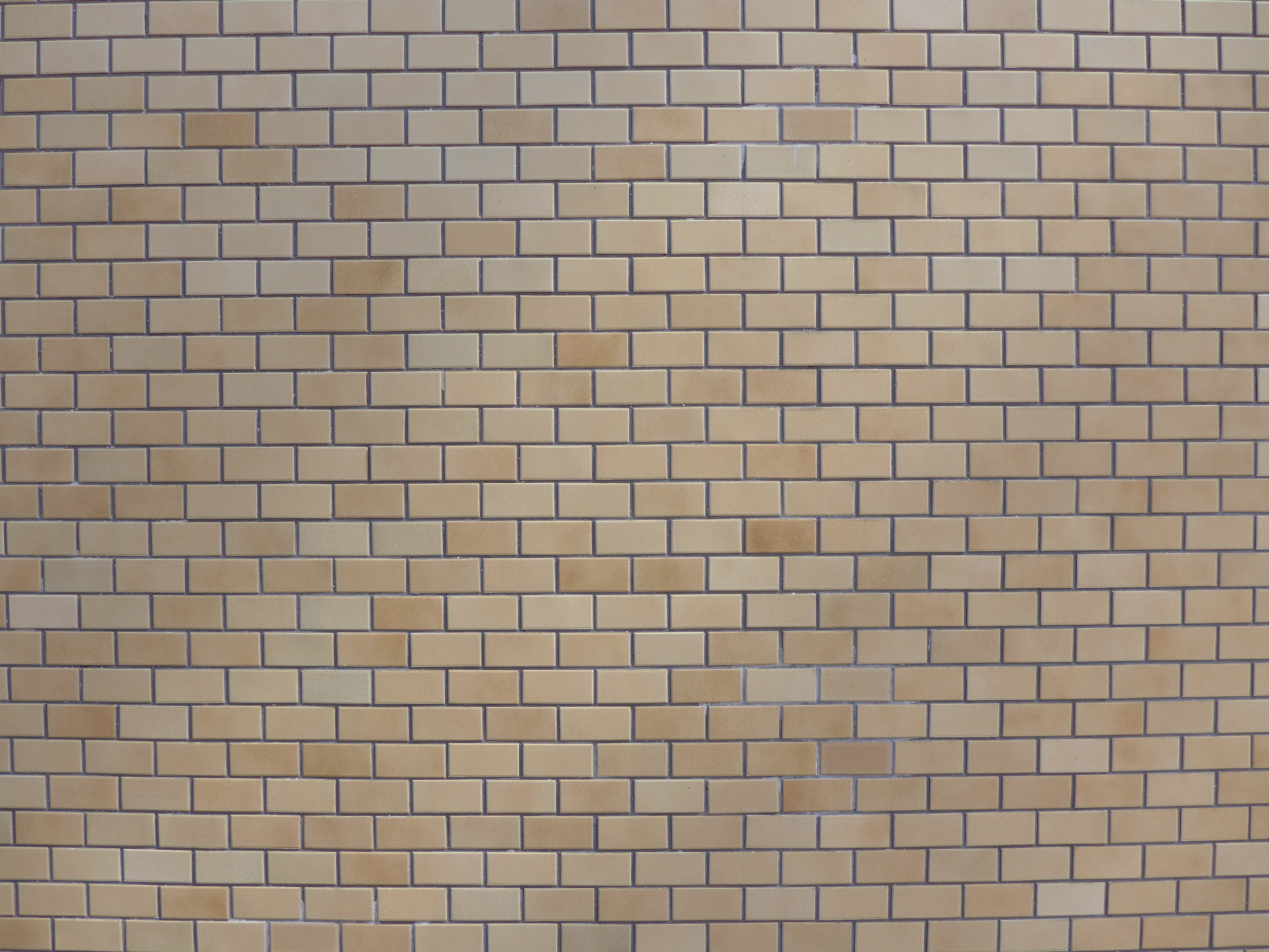 <b>DMC-LX7 / 約4.2MB / 3,648×2,736 / 1/800秒 / F1.4 / +0.3EV / ISO80 / WB:オート / 4.7mm</b>