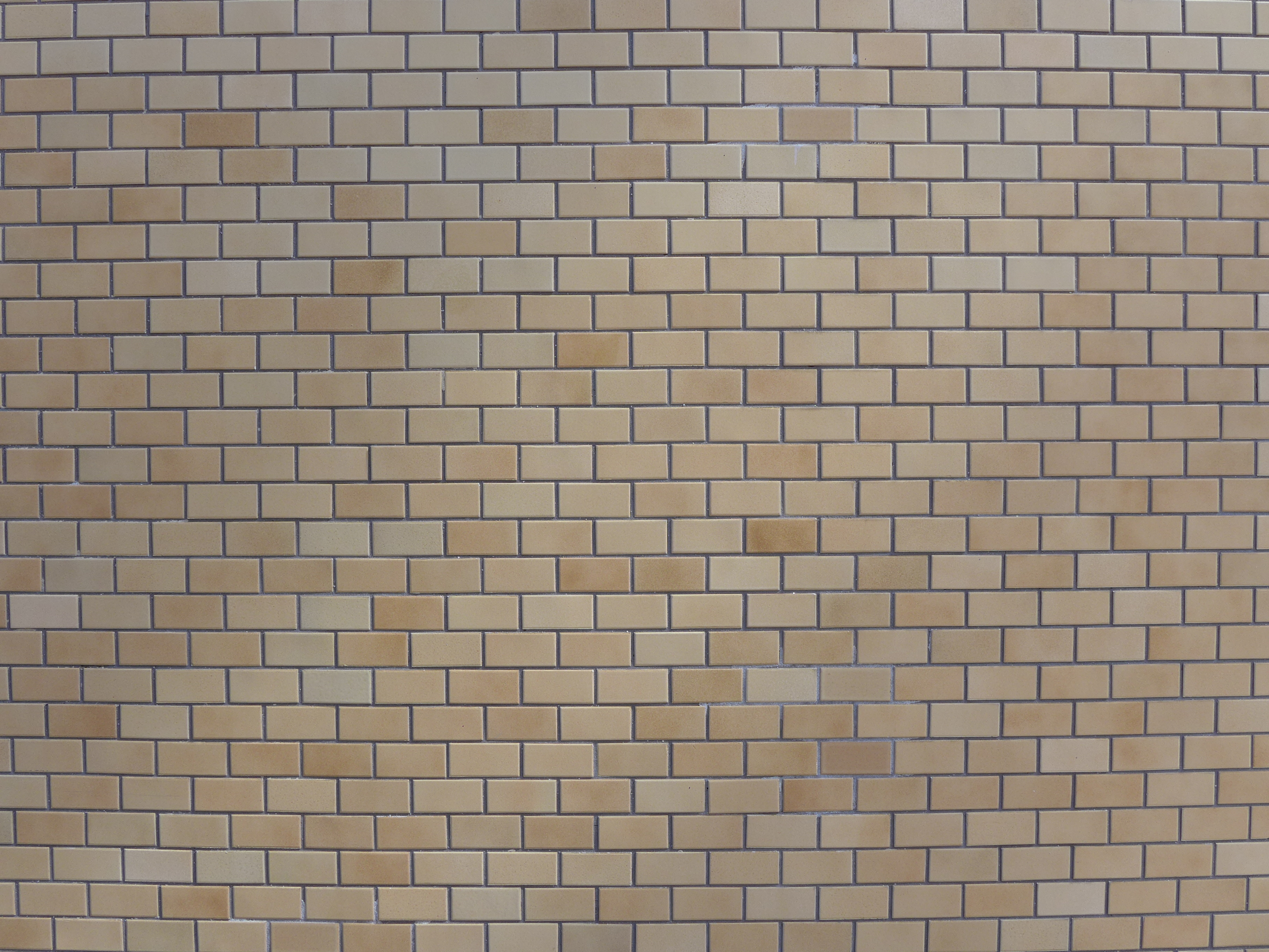 <b>DMC-LX7 / 約4.2MB / 3,648×2,736 / 1/100秒 / F4 / +0.3EV / ISO80 / WB:オート / 4.7mm</b>