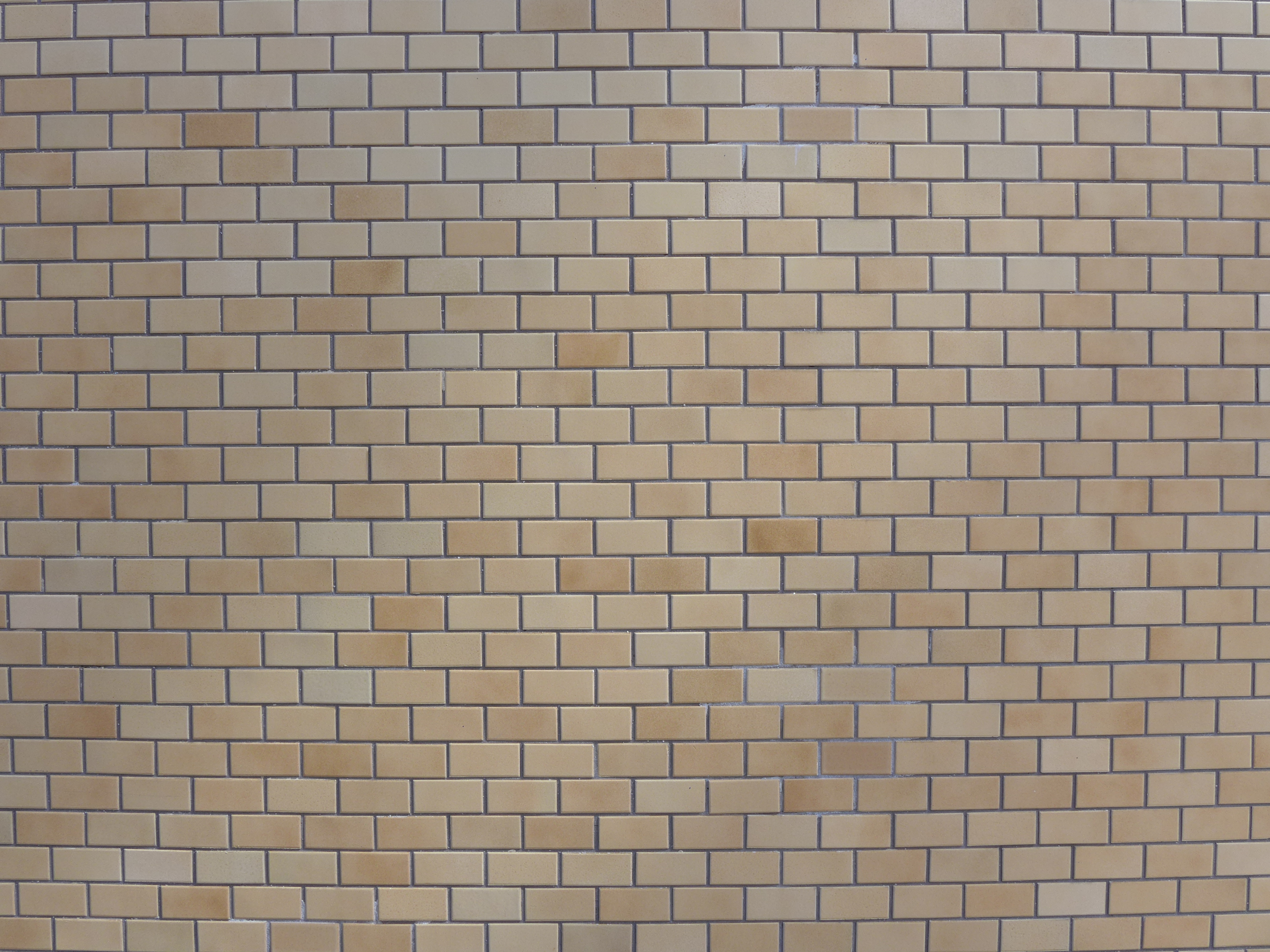 <b>DMC-LX7 / 約4.5MB / 3,648×2,736 / 1/50秒 / F5.6 / +0.3EV / ISO80 / WB:オート / 4.7mm</b>