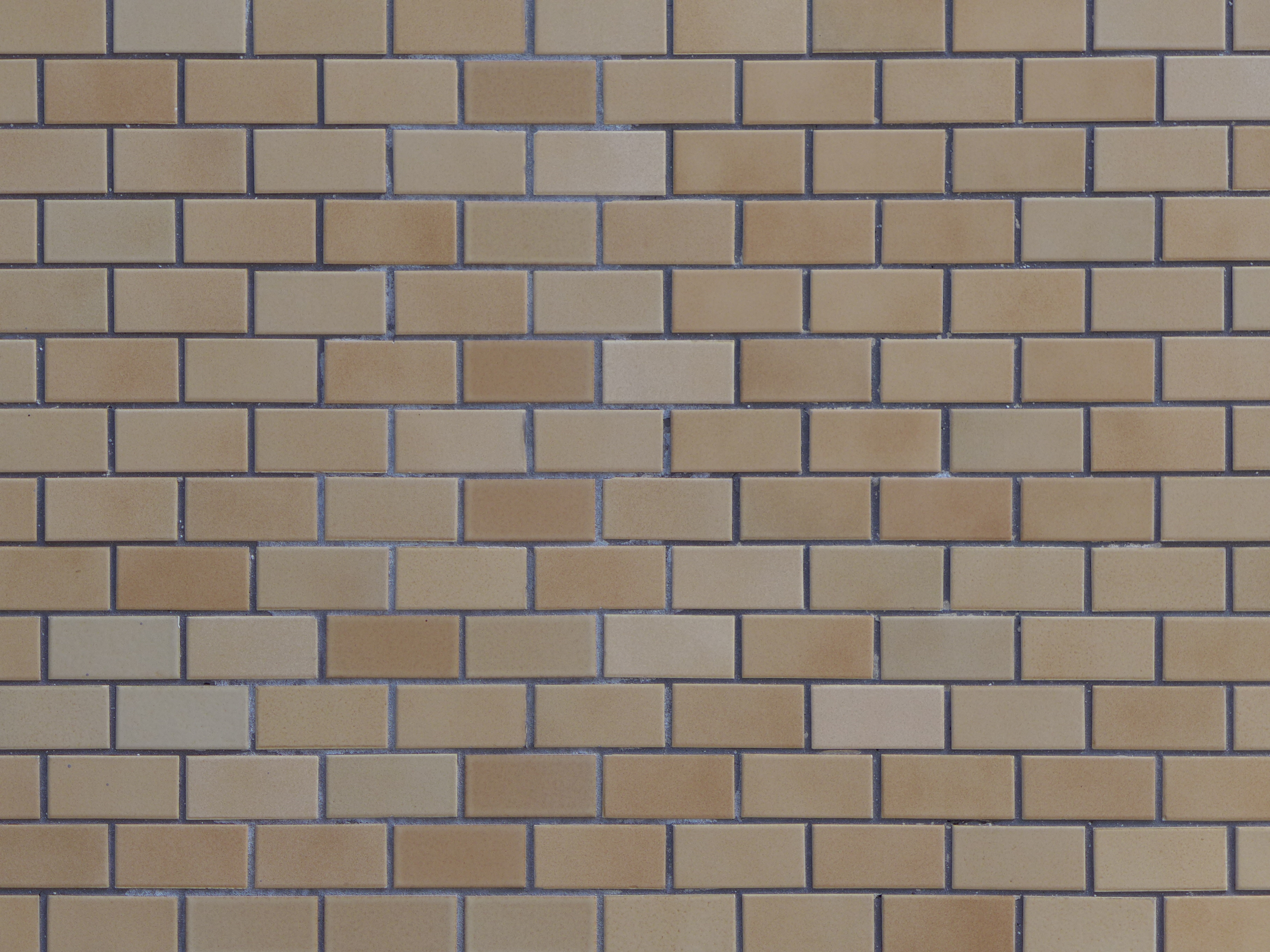 <b>DMC-LX7 / 約4.1MB / 3,648×2,736 / 1/320秒 / F2.3 / 0.0EV / ISO80 / WB:オート / 17.7mm</b>