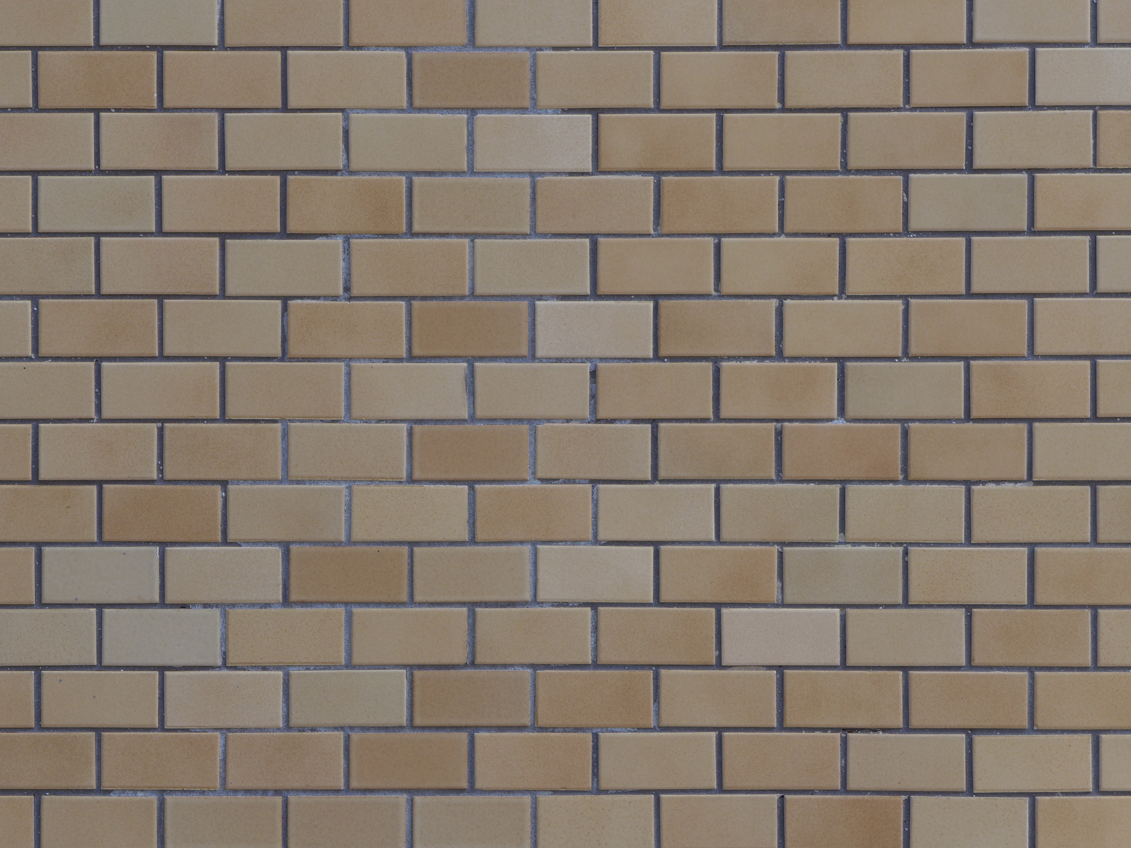 <b>DMC-LX7 / 約4.1MB / 3,648×2,736 / 1/50秒 / F5.6 / 0.0EV / ISO80 / WB:オート / 17.7mm</b>