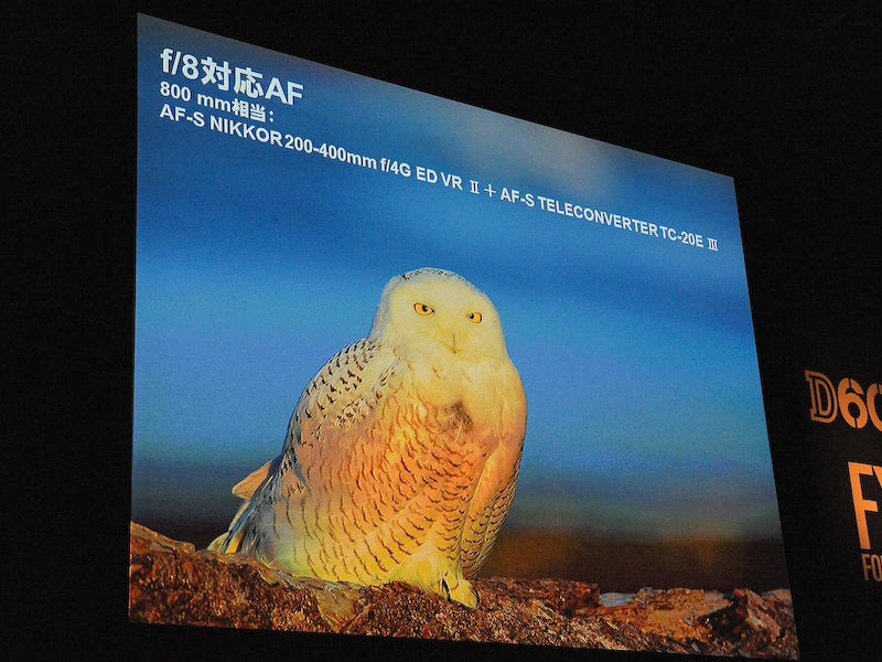 <b>AFは開放F8まで動作する。超望遠レンズとテレコンバーターの組み合わせで野鳥などを撮るのに適するとアピールした</b>