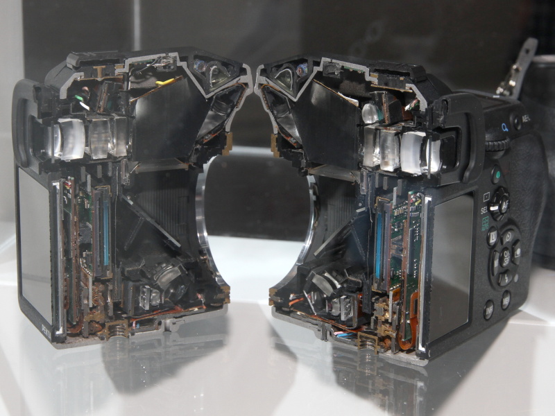 <b>カットモデルとスケルトンモックの展示もあった</b>