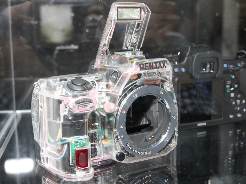 <b>カットモデルとスケルトンモックの展示もあった</b>