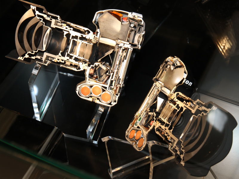 <b>D4のカットモデル</b>