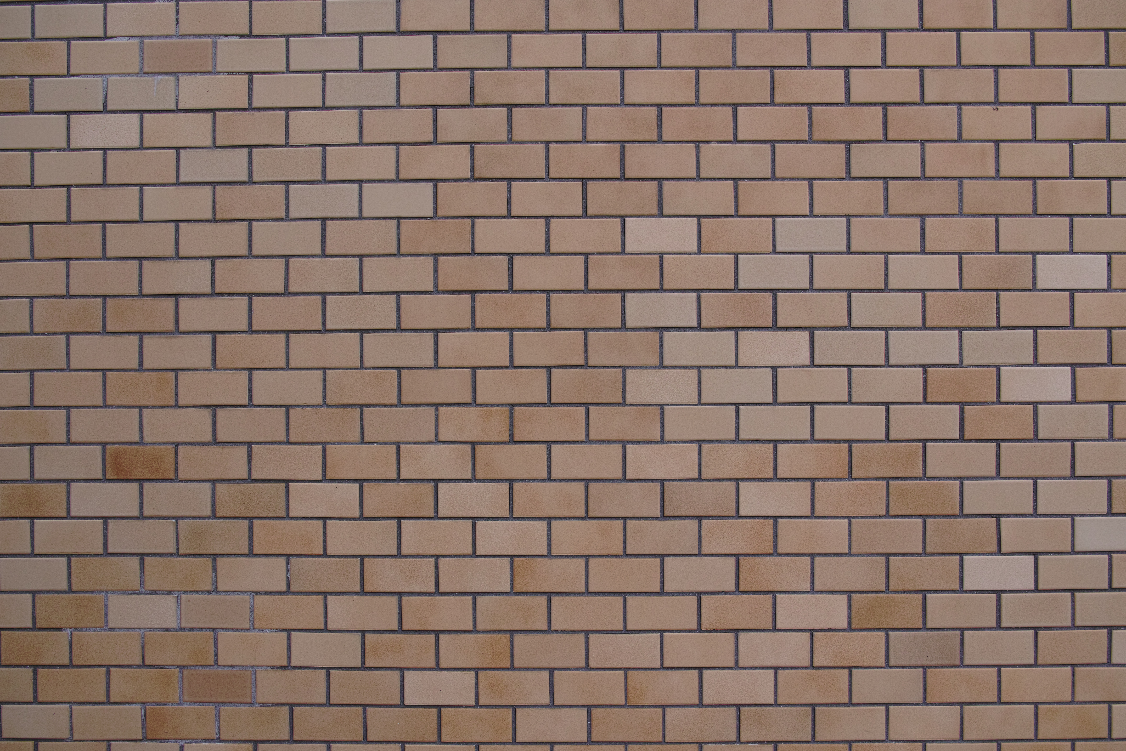 <b>RAWで撮影（JPEGに現像） / DP1 Merrill / 4.9MB / 4,704×3,136 / 1/160秒 / F4 / +0.3EV / ISO100 / WB:日陰</b>