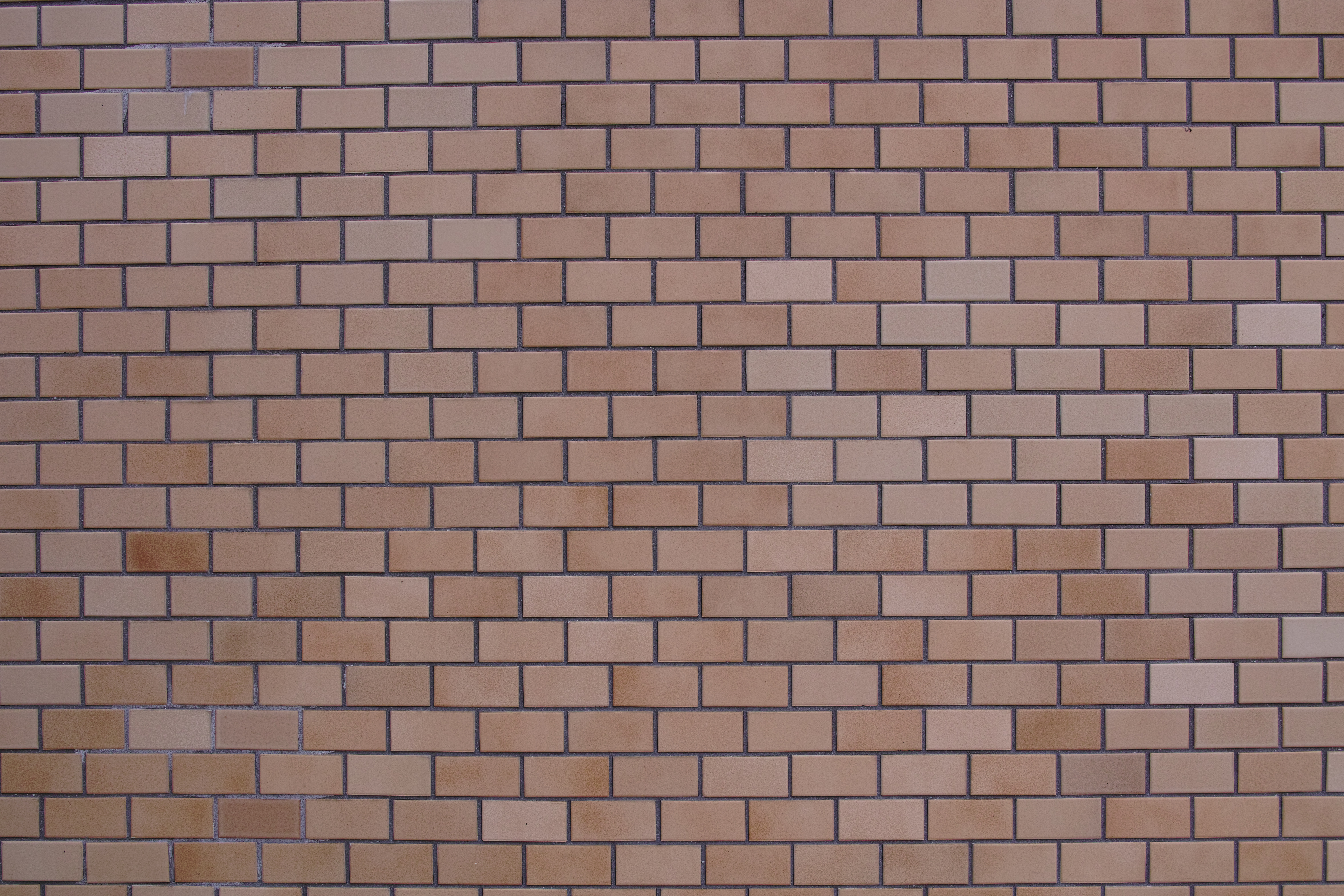 <b>RAWで撮影（JPEGに現像） / DP1 Merrill / 4.9MB / 4,704×3,136 / 1/80秒 / F5.6 / +0.3EV / ISO100 / WB:日陰</b>