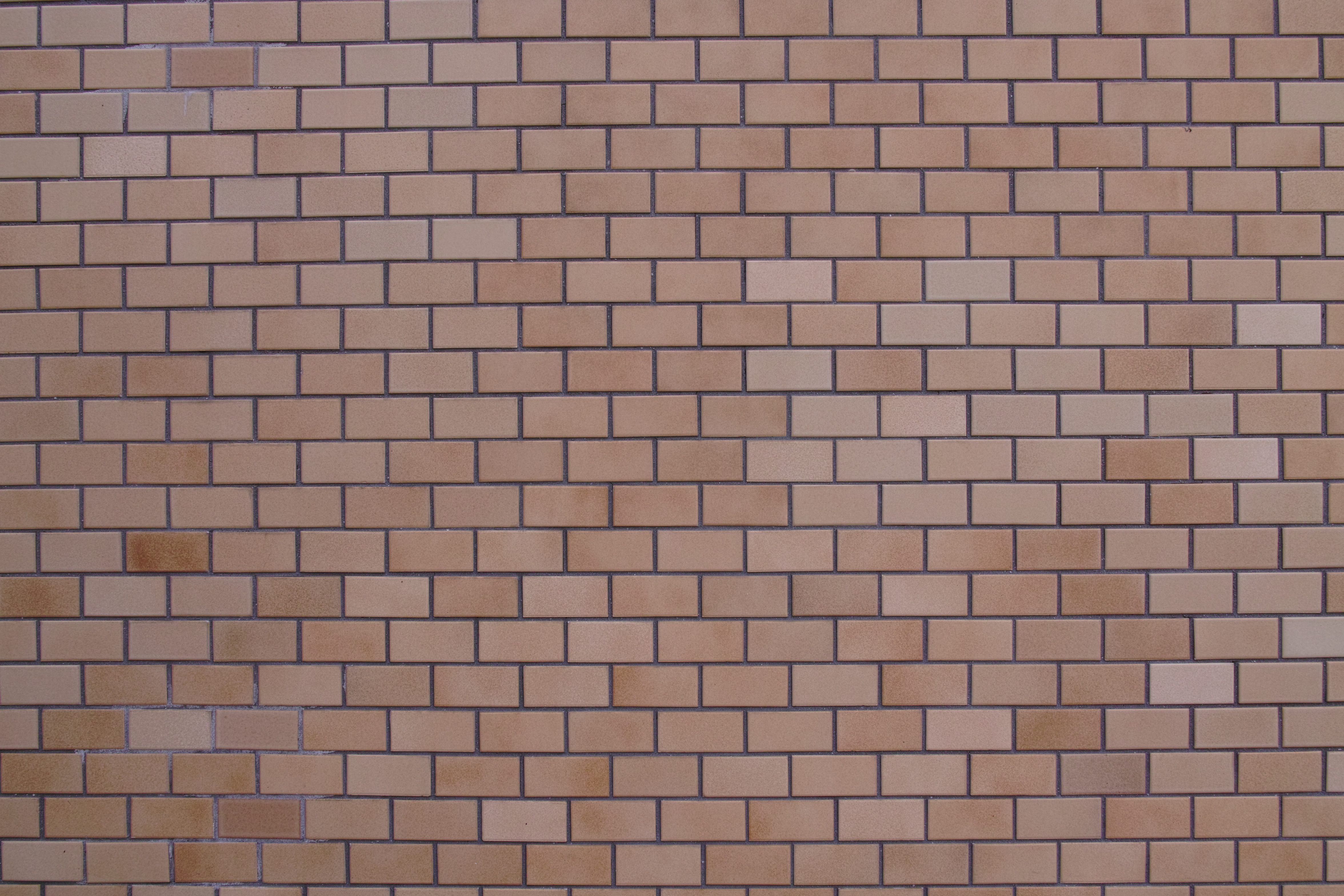 <b>RAWで撮影（JPEGに現像） / DP1 Merrill / 3.8MB / 4,704×3,136 / 1/10秒 / F16 / +0.3EV / ISO100 / WB:日陰</b>