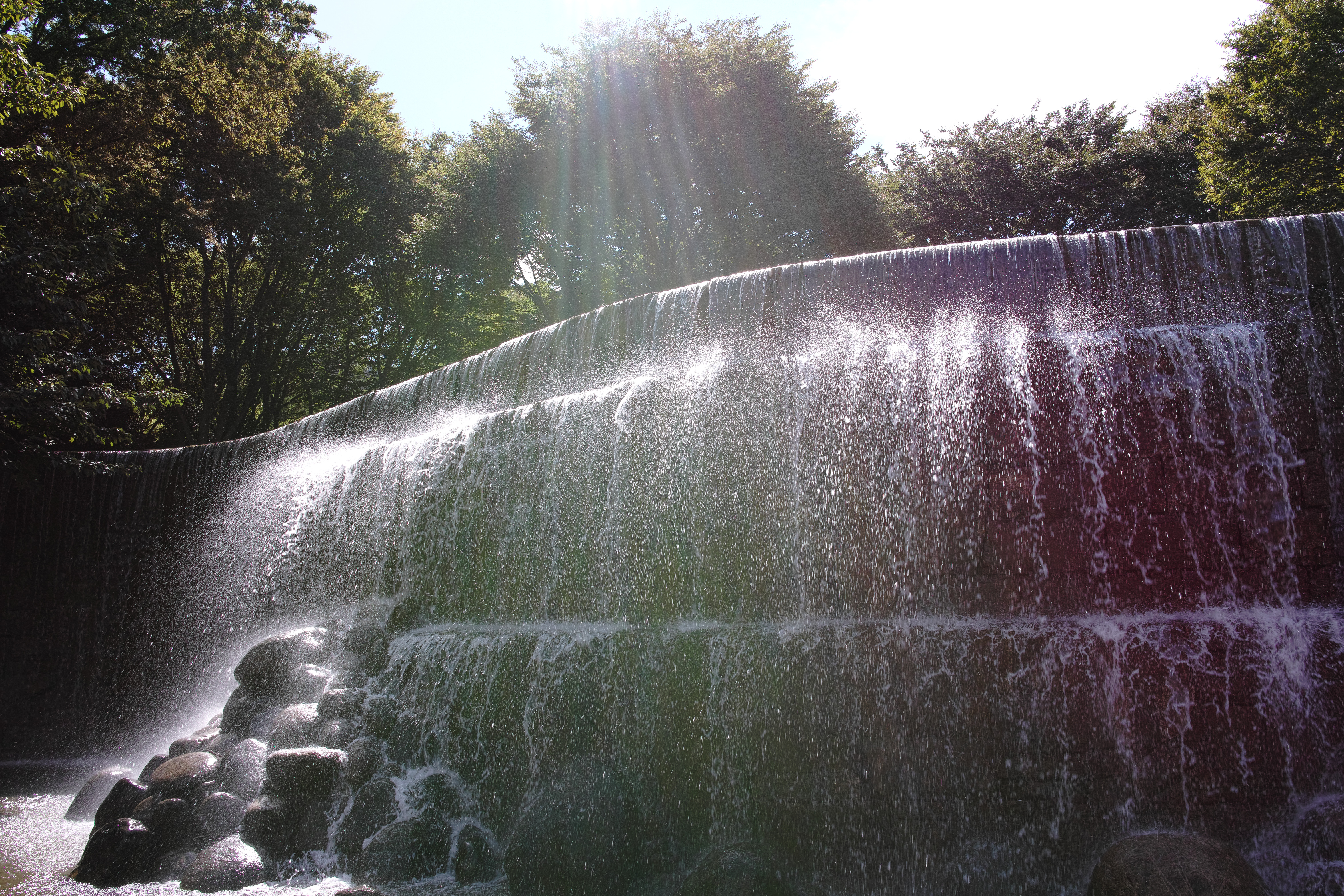 <b>RAWで撮影（JPEGに現像） / DP1 Merrill / 7.8MB / 4,704×3,136 / 1/200秒 / F5.6 / 0.0EV / ISO100 / WB:オート</b>