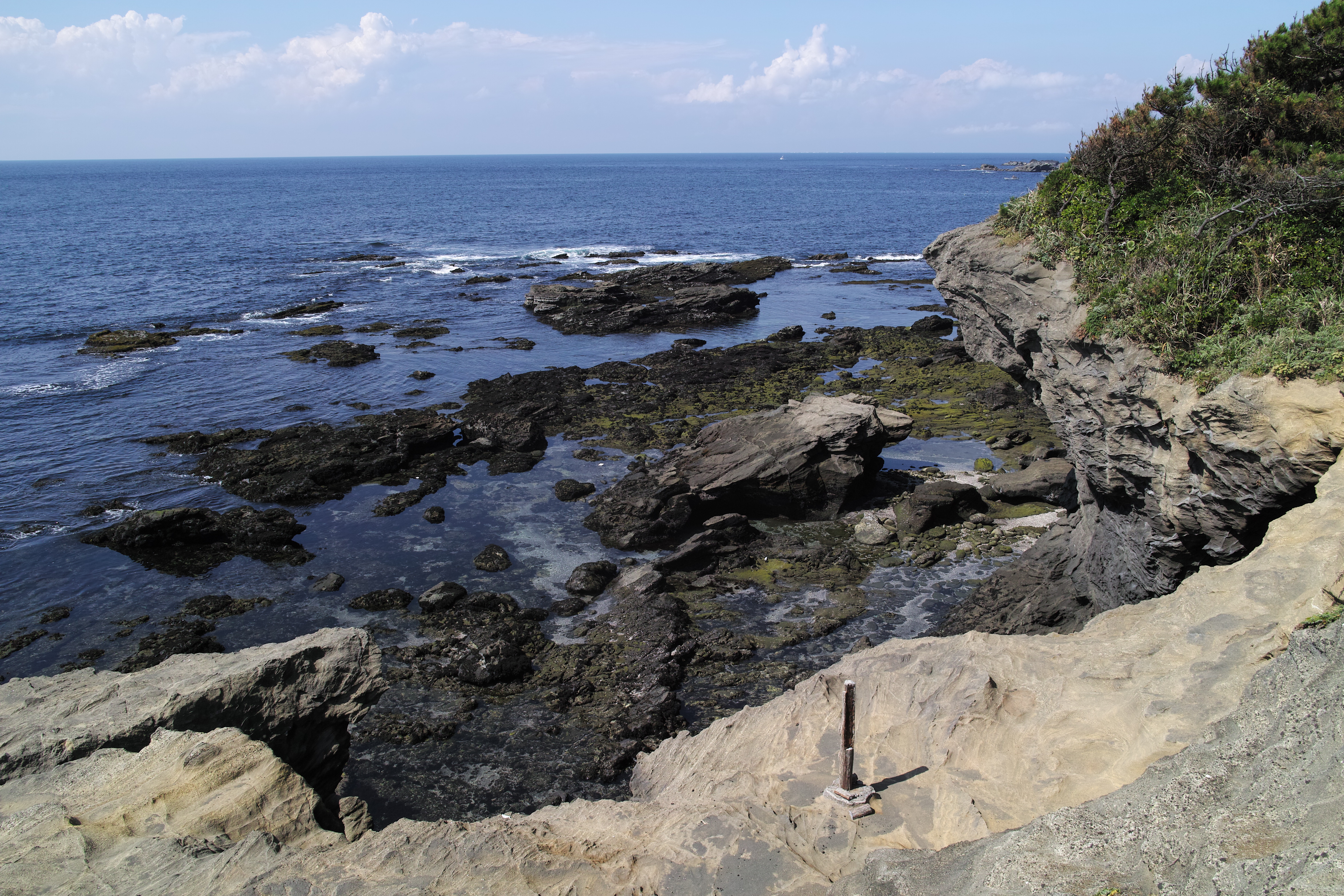 <b>JPEGで撮影 / DP1 Merrill / 6.0MB / 4,704×3,136 / 1/250秒 / F8 / -0.3EV / ISO100 / WB:オート</b>