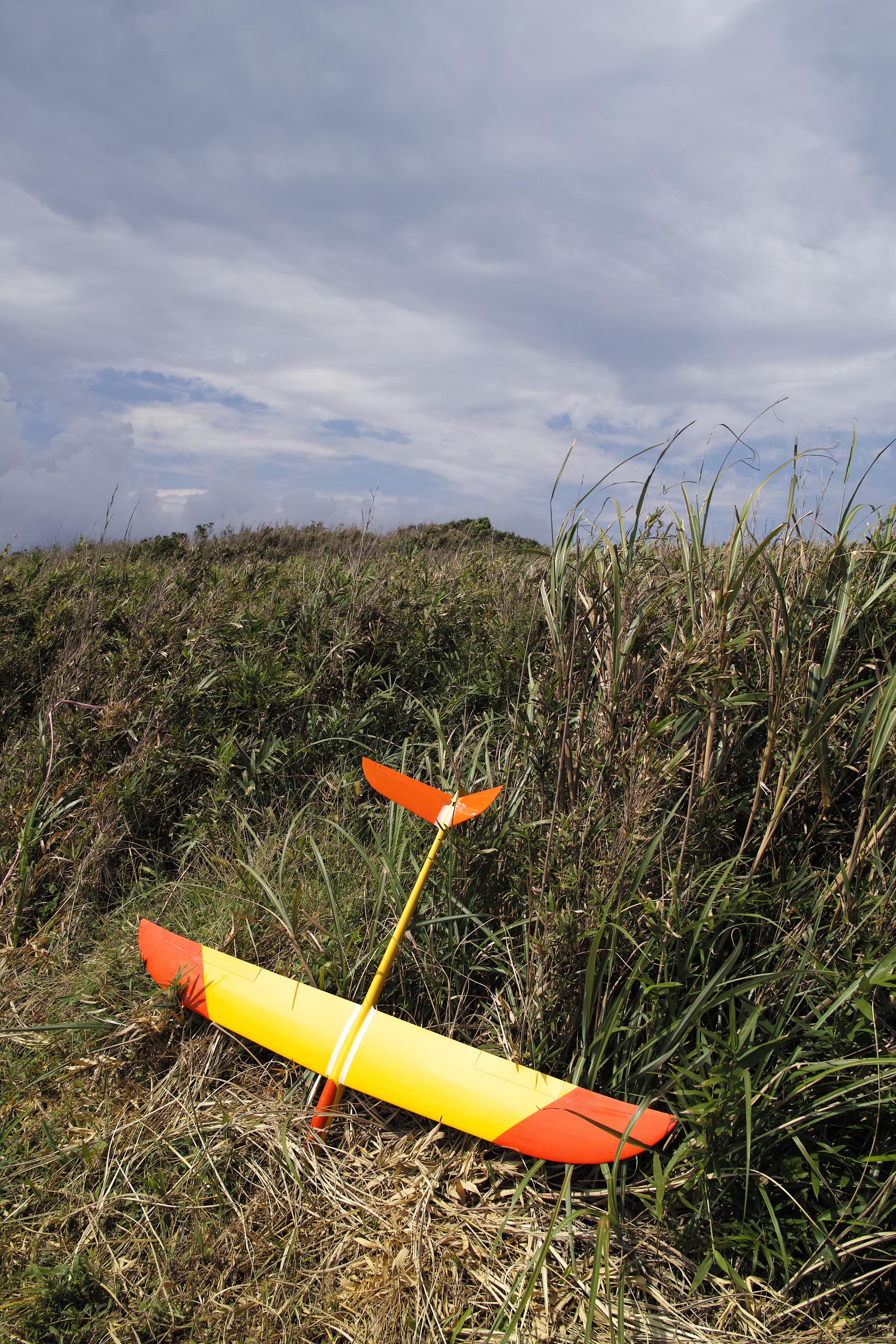 <b>JPEGで撮影 / DP1 Merrill / 6.2MB / 3,136×4,704 / 1/800秒 / F5.6 / 0.0EV / ISO100 / WB:オート</b>