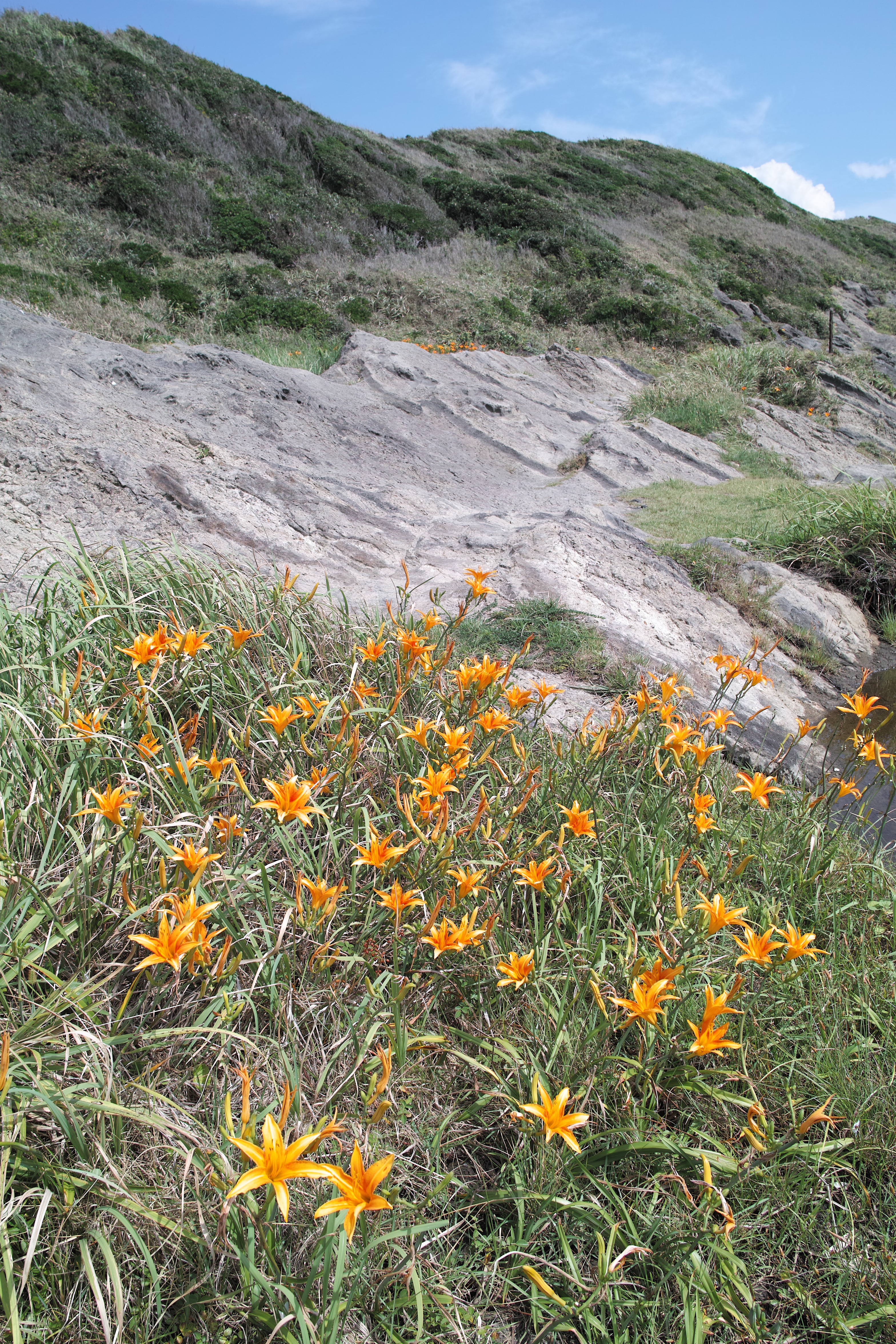 <b>JPEGで撮影 / DP1 Merrill / 7.1MB / 3,136×4,704 / 1/500秒 / F5.6 / +0.3EV / ISO100 / WB:オート</b>