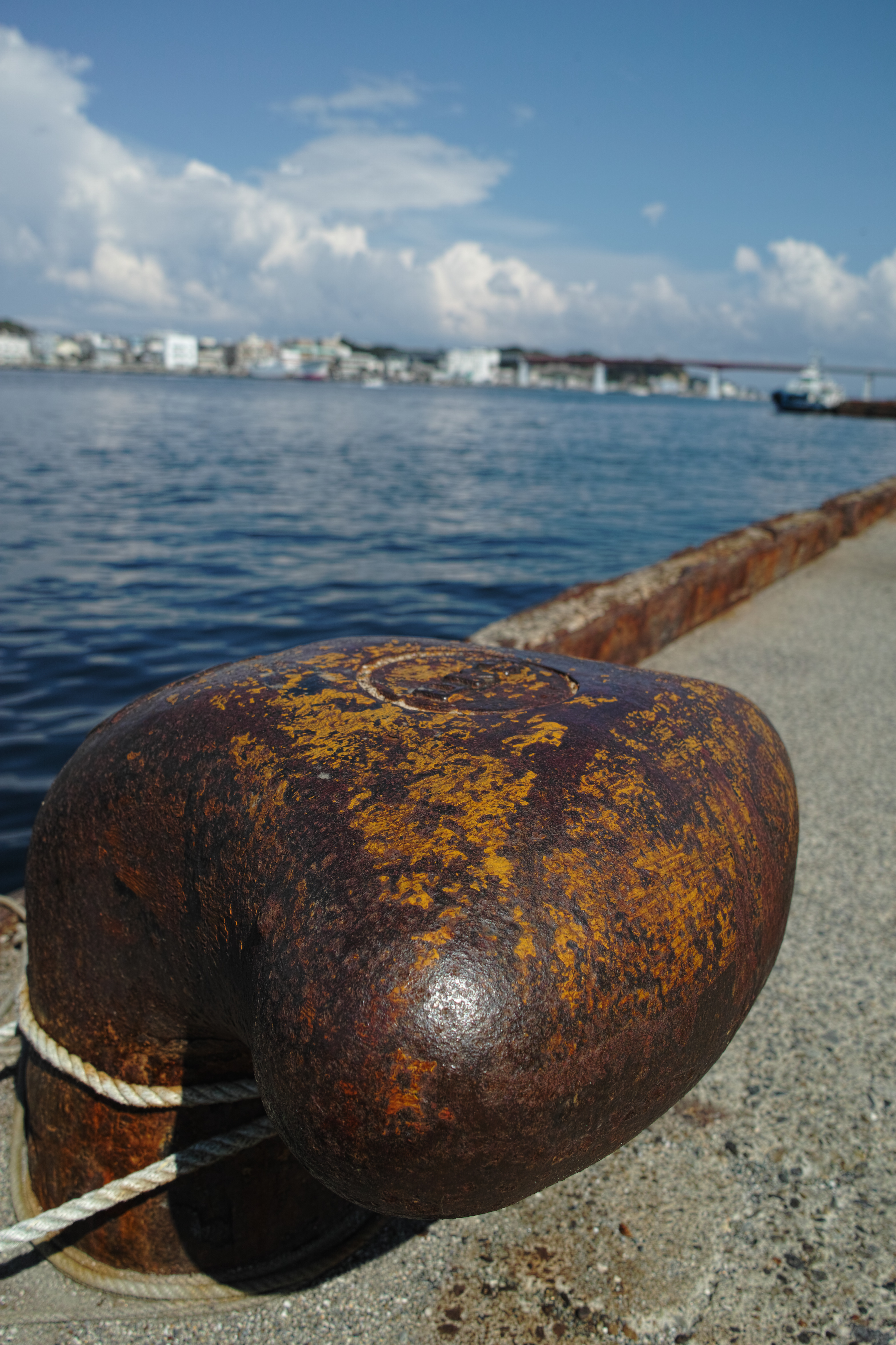 <b>RAWで撮影（JPEGに現像） / DP1 Merrill / 3.8MB / 3,136×4,704 / 1/1,000秒 / F4.5 / 0.0EV / ISO100 / WB:オート</b>