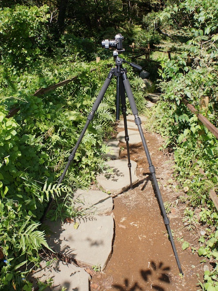 <b>人が良く通る通路で撮るとき、このような通路を塞ぐようなセッティングは避けたいものです。</b>