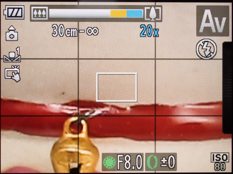 <b>デジタルズームは20倍（480mm相当）まで。ほかに、1.5倍と2.0倍のデジタルテレコンバーター機能も備えている。</b>