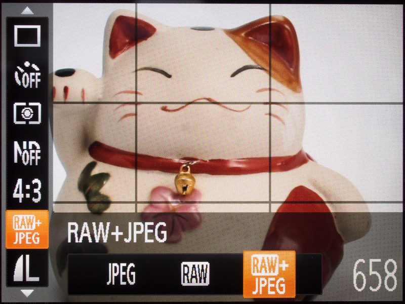 <b>高級タイプだけあってRAWやRAW+JPEGでの撮影もサポートしている。上級者にはうれしい点。</b>