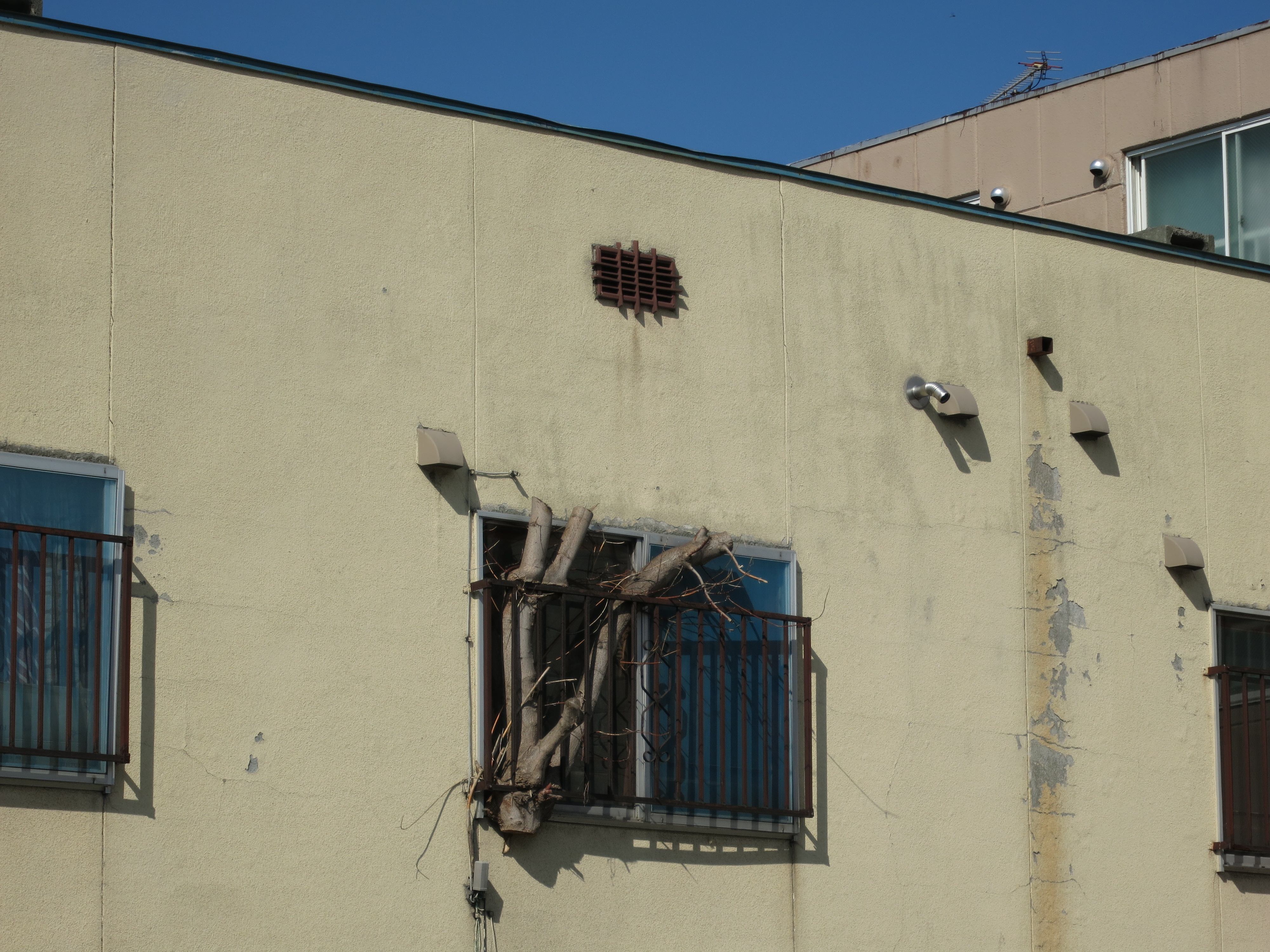 <b>PowerShot S110 / 約3.7MB / 4,000×3,000 / 1/640秒 / F5.9 / 0.0EV / ISO80 / WB:オート / 26mm（120mm相当）</b>