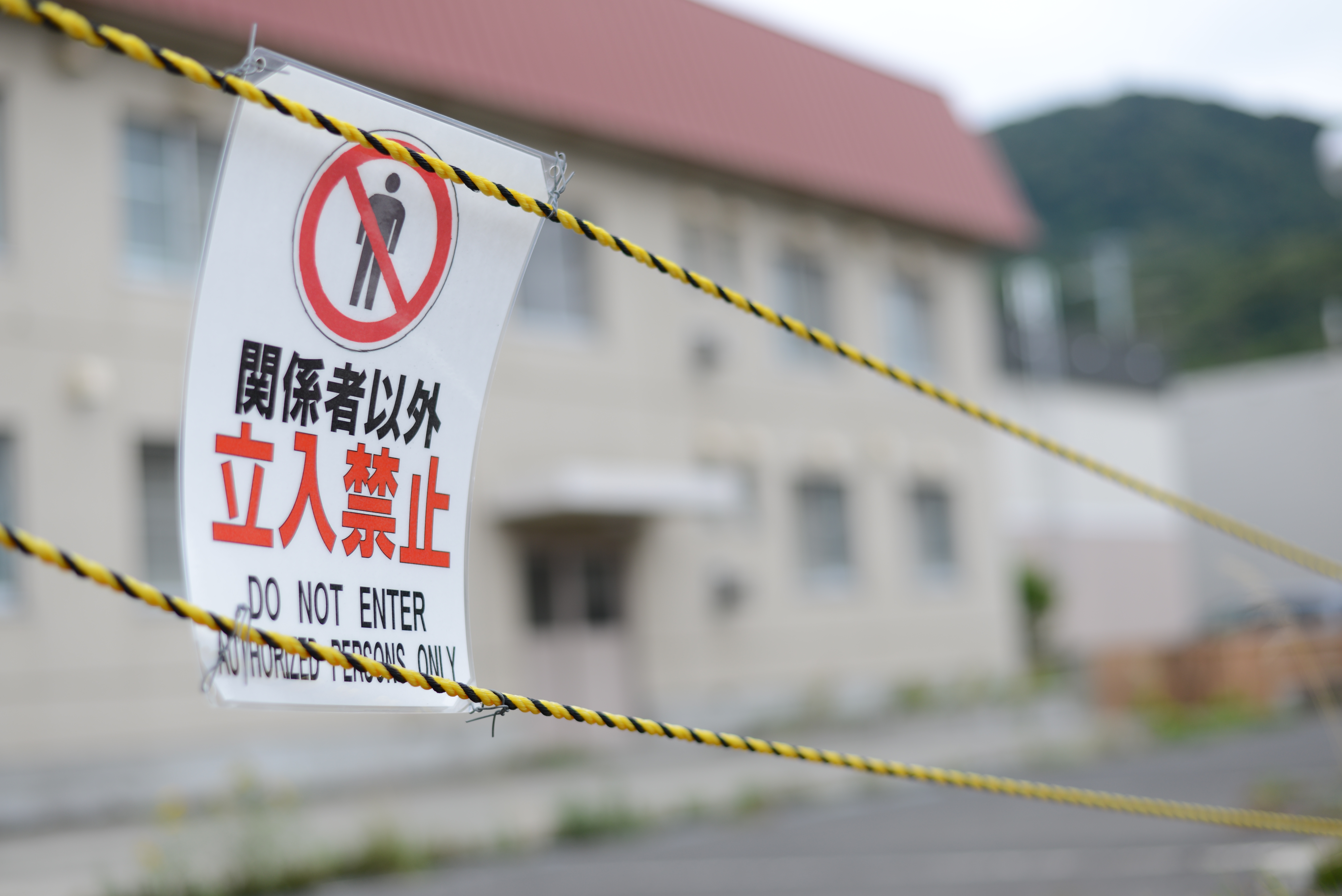 <b>F1.8の標準レンズで開き気味の絞りで寄って撮ったら背景はボケる。当たり前の話だけれど、フルサイズのボケ具合は格別だと思う。D600 / AF-S 50mm F1.8 G / 6,016×4,016 / 1/640秒 / F2.5 / 1.0EV / ISO100 / WB:AUTO1</b>