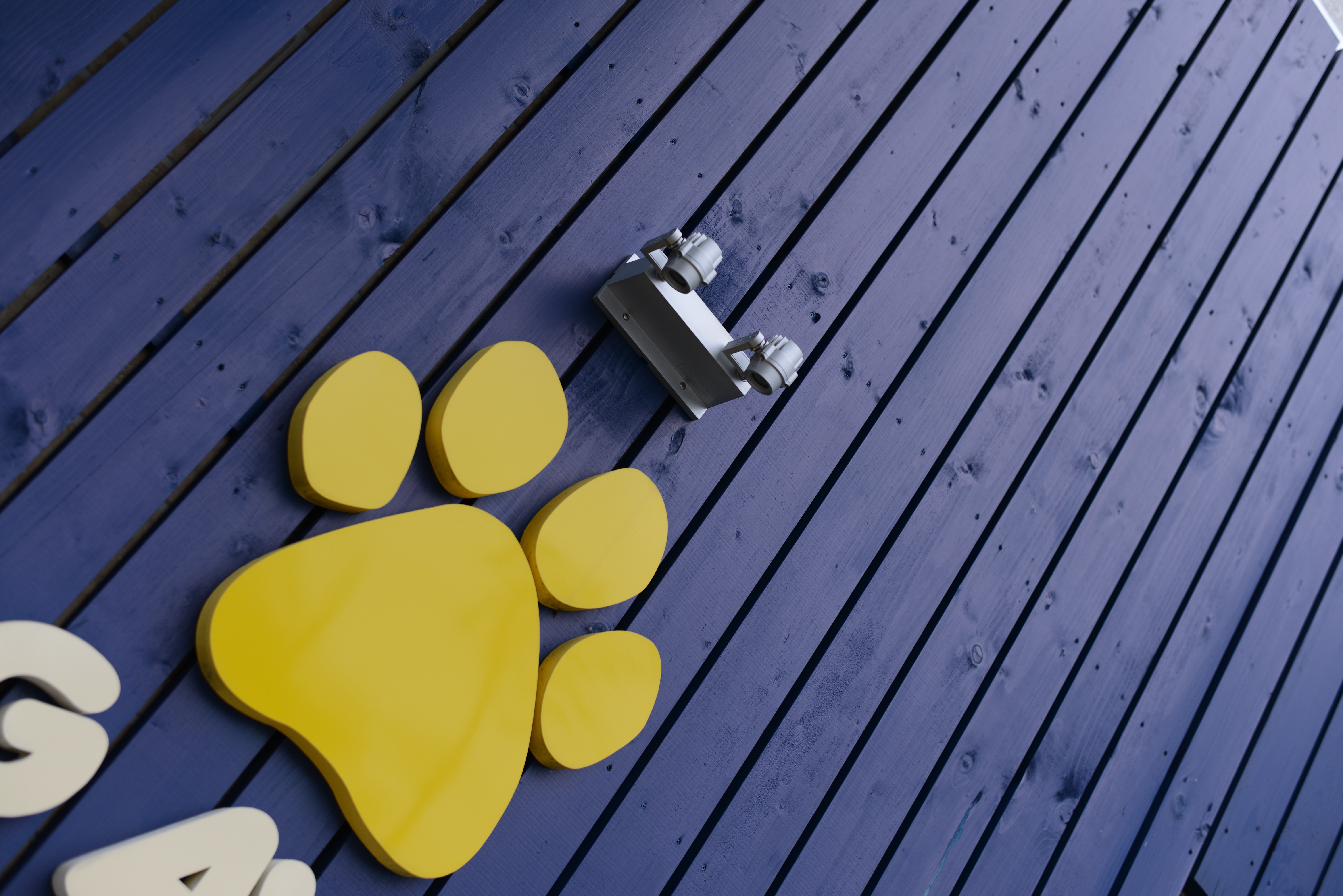 <b>こういう青が支配的な画面だと、以前はオートホワイトバランスがへんてこなことになりやすかったが、ずいぶん転びにくくなった。D600 / AF-S 50mm F1.8 G / 6,016×4,016 / 1/200秒 / F3.2 / 0EV / ISO100 / WB:AUTO1</b>