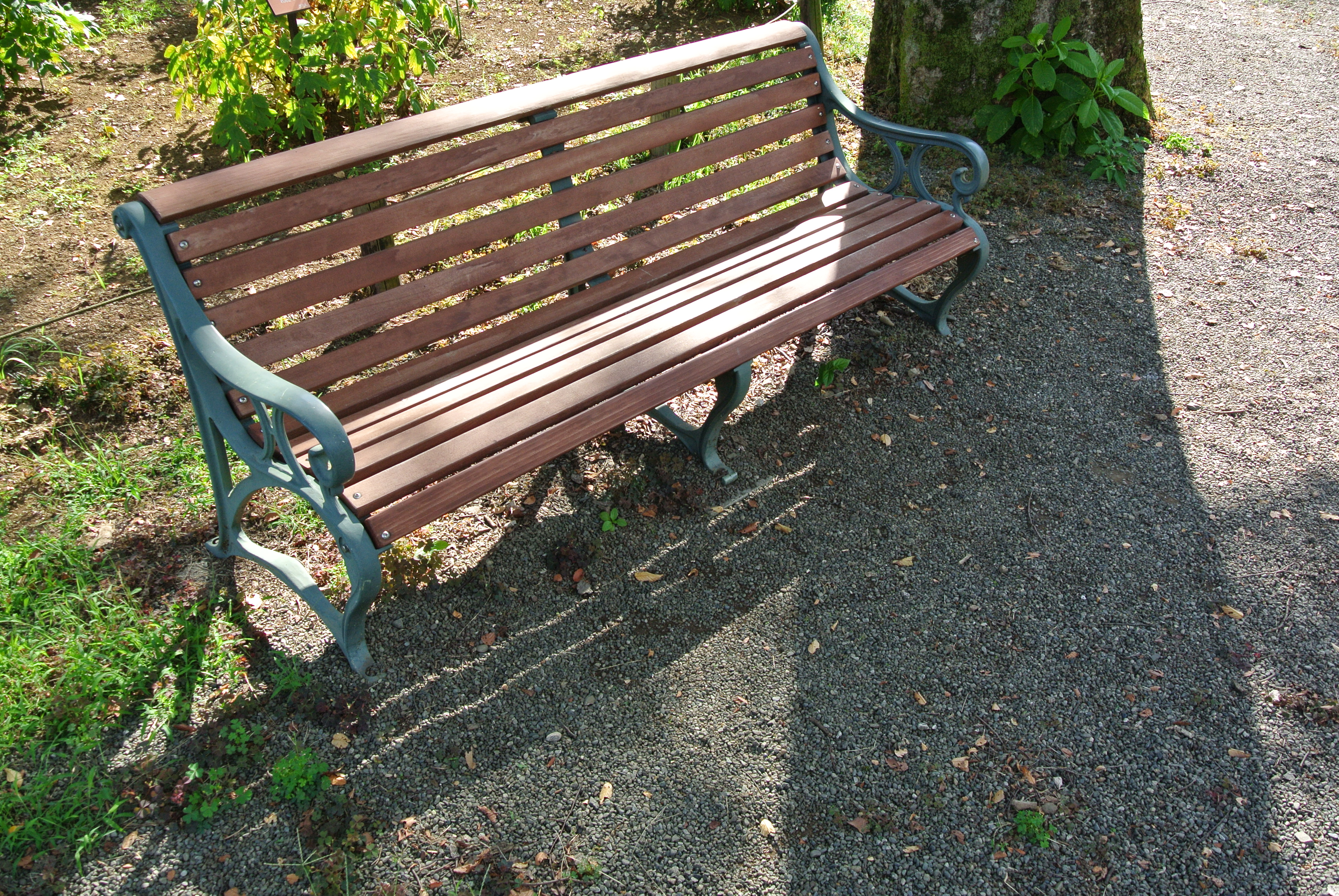 <b>Nikon 1 J2 / 1 NIKKOR VR 10-30mm F3.5-5.6 / 約6.1MB / 3,872×2,592 / 1/125秒 / F6.3 / 0EV / ISO180 / 12.7mm / アクティブD-ライティング：オート</b>