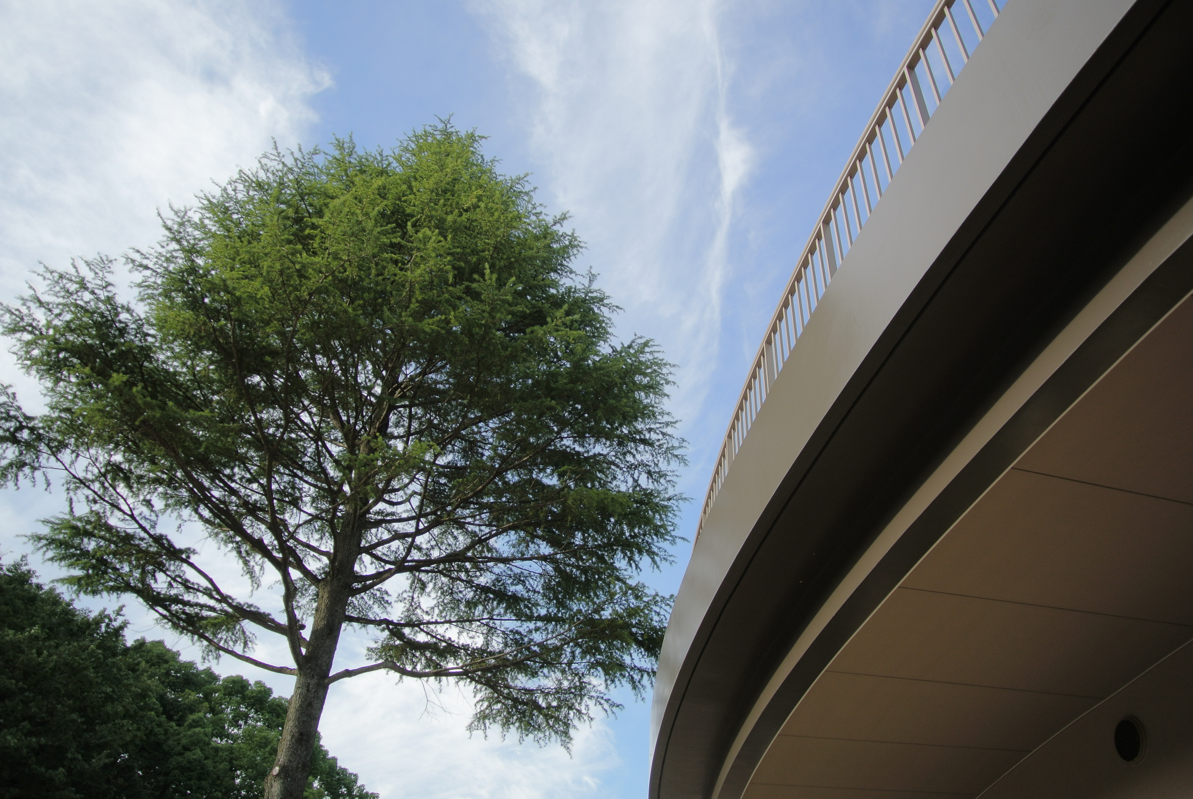 <b>Nikon 1 J2 / 1 NIKKOR VR 10-30mm F3.5-5.6 / 約5.2MB / 3,872×2,592 / 1/500秒 / F3.5 / 0EV / ISO125 / 10.7mm / HDR：オート</b>