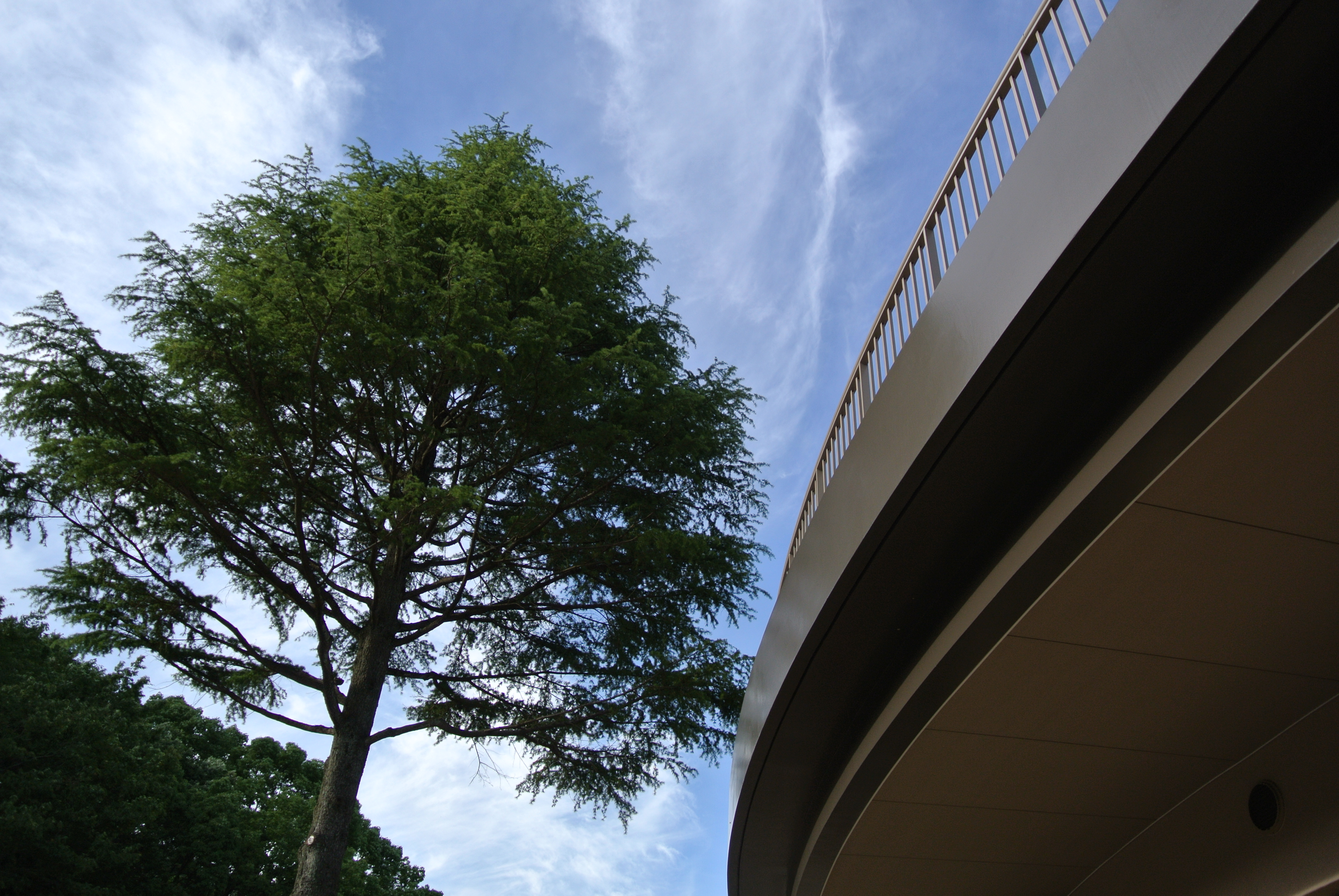 <b>Nikon 1 J2 / 1 NIKKOR VR 10-30mm F3.5-5.6 / 約5.6MB / 3,872×2,592 / 1/500秒 / F3.5 / -0.7EV / ISO100 / 10.7mm / HDR：なし</b>