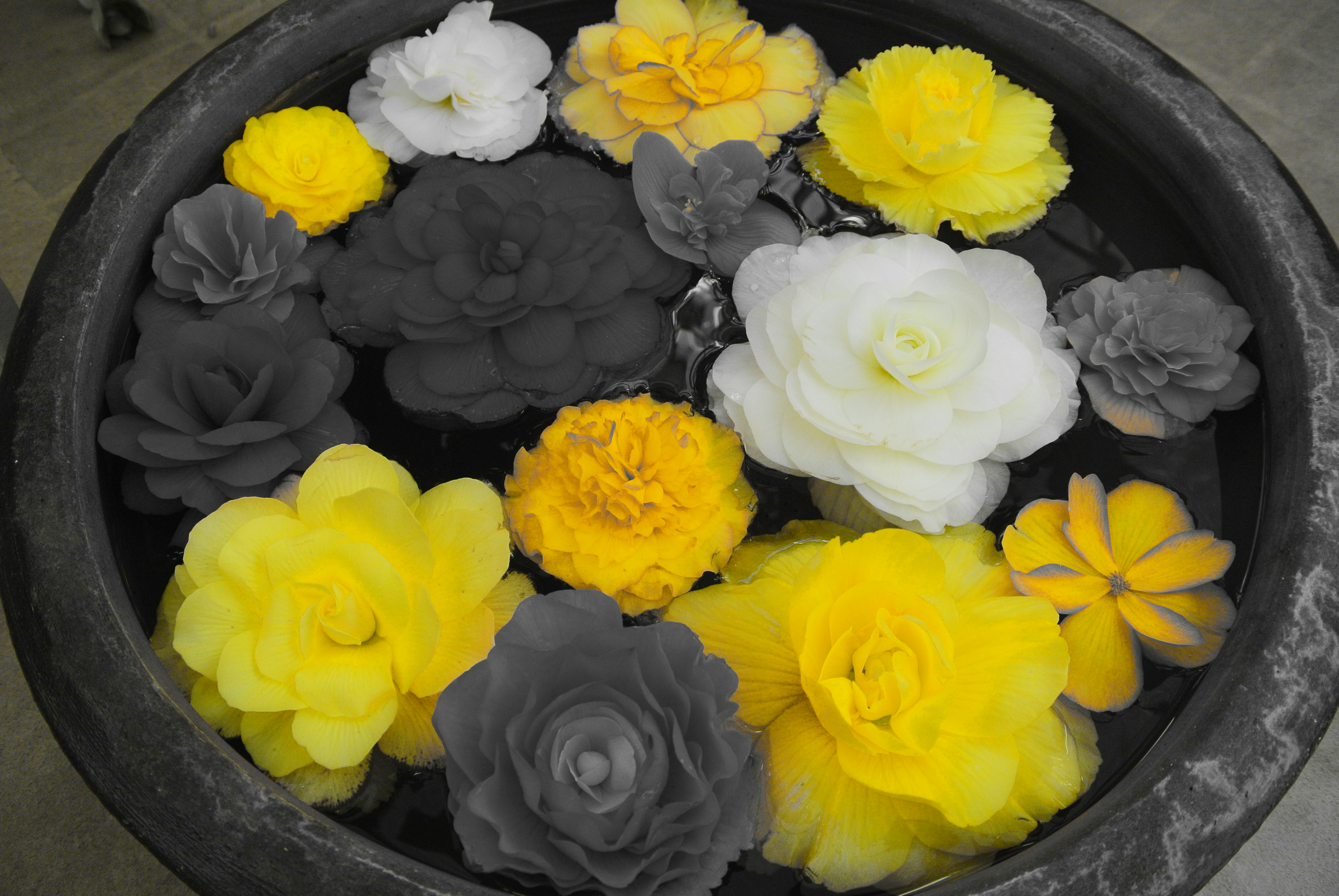 <b>Nikon 1 J2 / 1 NIKKOR VR 10-30mm F3.5-5.6 / 約5.2MB / 3,872×2,592 / 1/125秒 / F3.5 / 0EV / ISO280 / 11mm / セレクトカラー：イエロー</b>