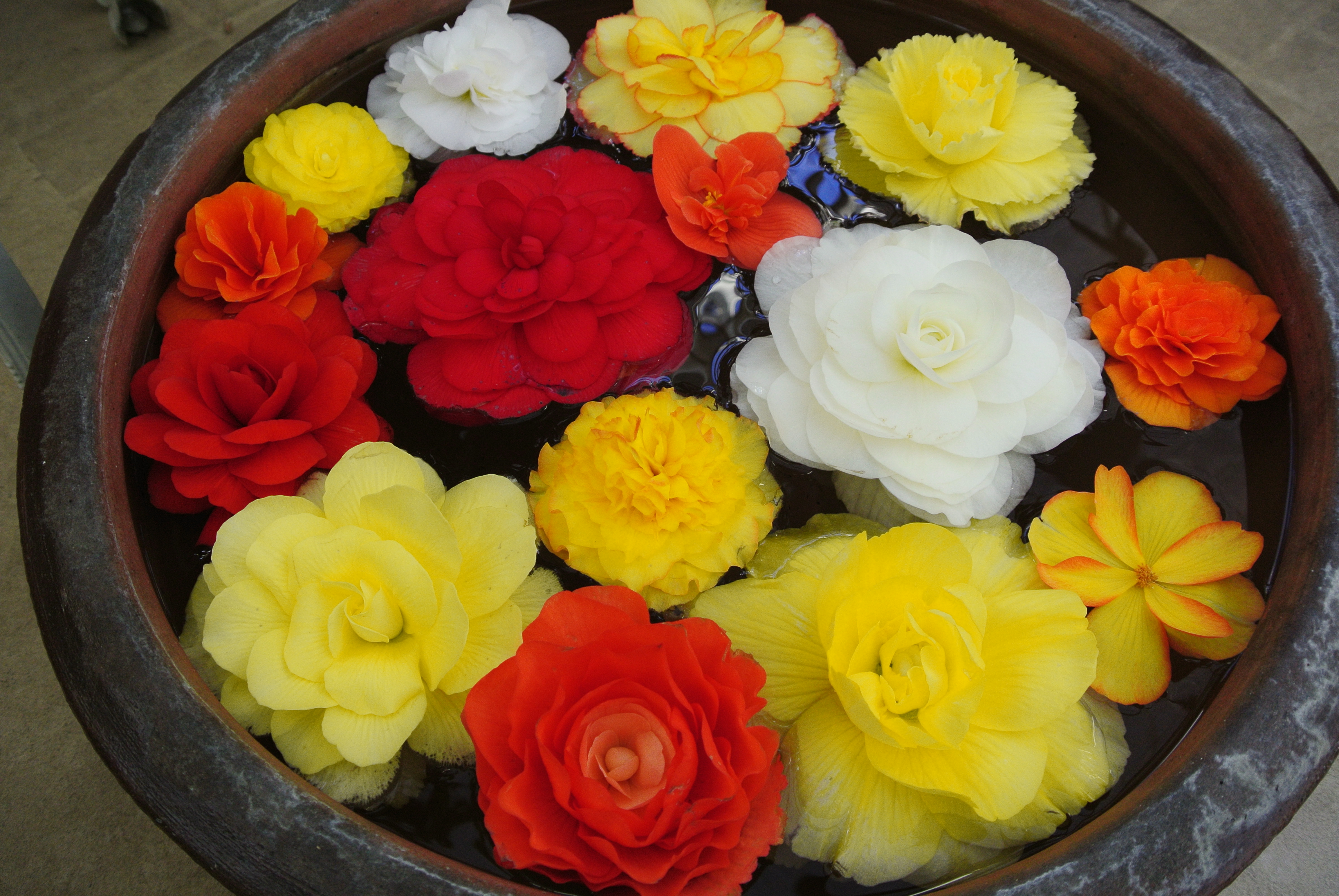 <b>Nikon 1 J2 / 1 NIKKOR VR 10-30mm F3.5-5.6 / 約5.7MB / 3,872×2,592 / 1/125秒 / F3.5 / 0EV / ISO320 / 10.7mm / 通常撮影</b>