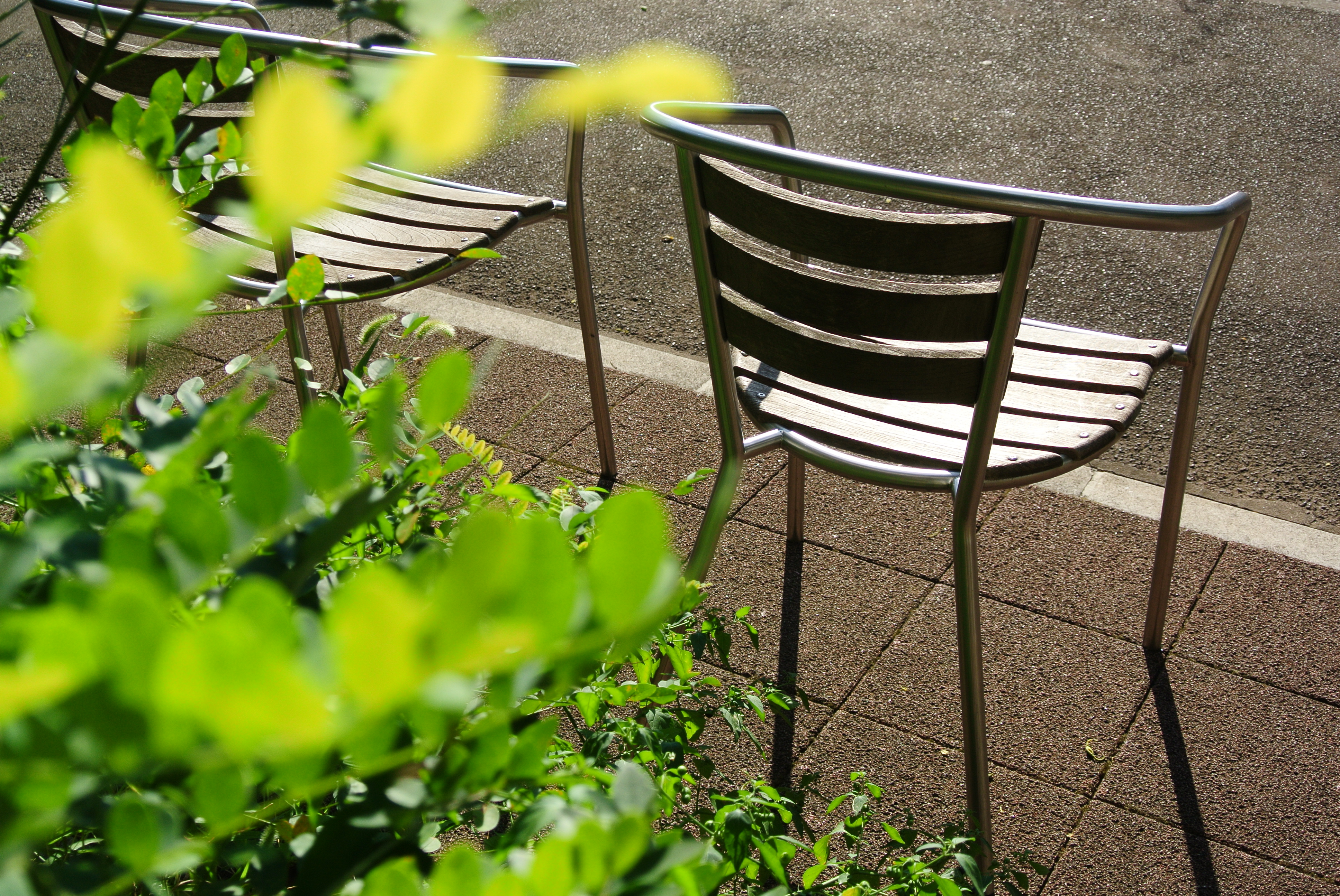 <b>Nikon 1 J2 / 1 NIKKOR VR 10-30mm F3.5-5.6 / 約6.1MB / 3,872×2,592 / 1/640秒 / F4.5 / +0.3EV / ISO100 / 17.5mm</b>